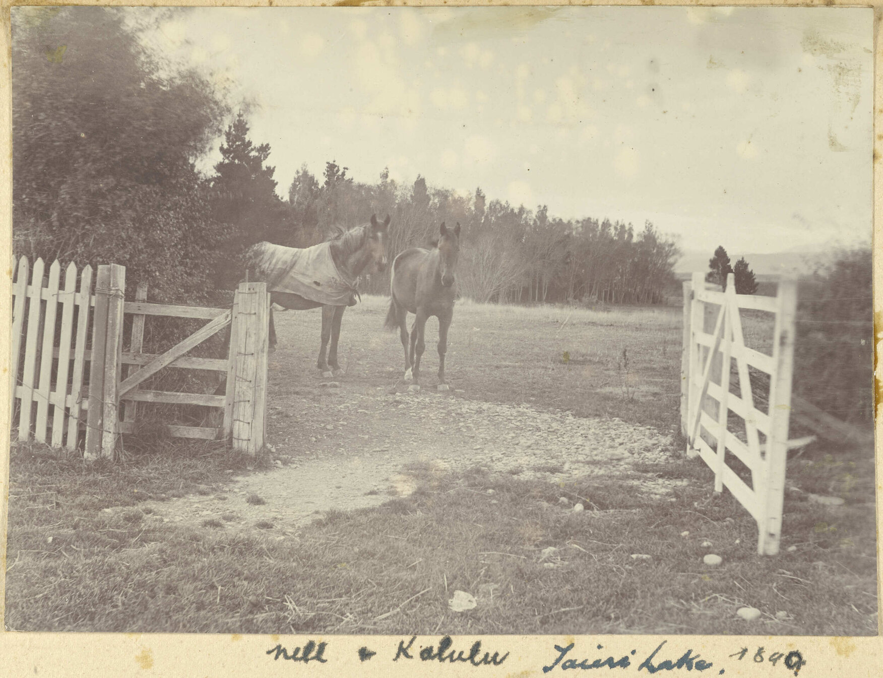 Nell and Kalulu, Taieri Lake Station