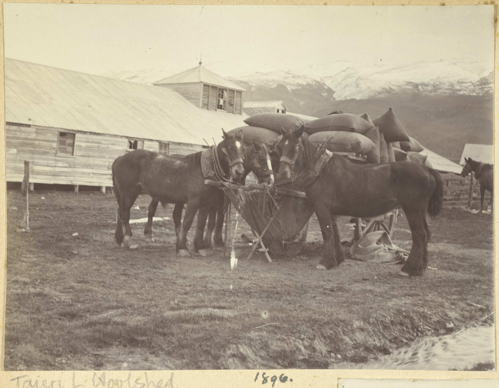 Taieri Lake woolshed