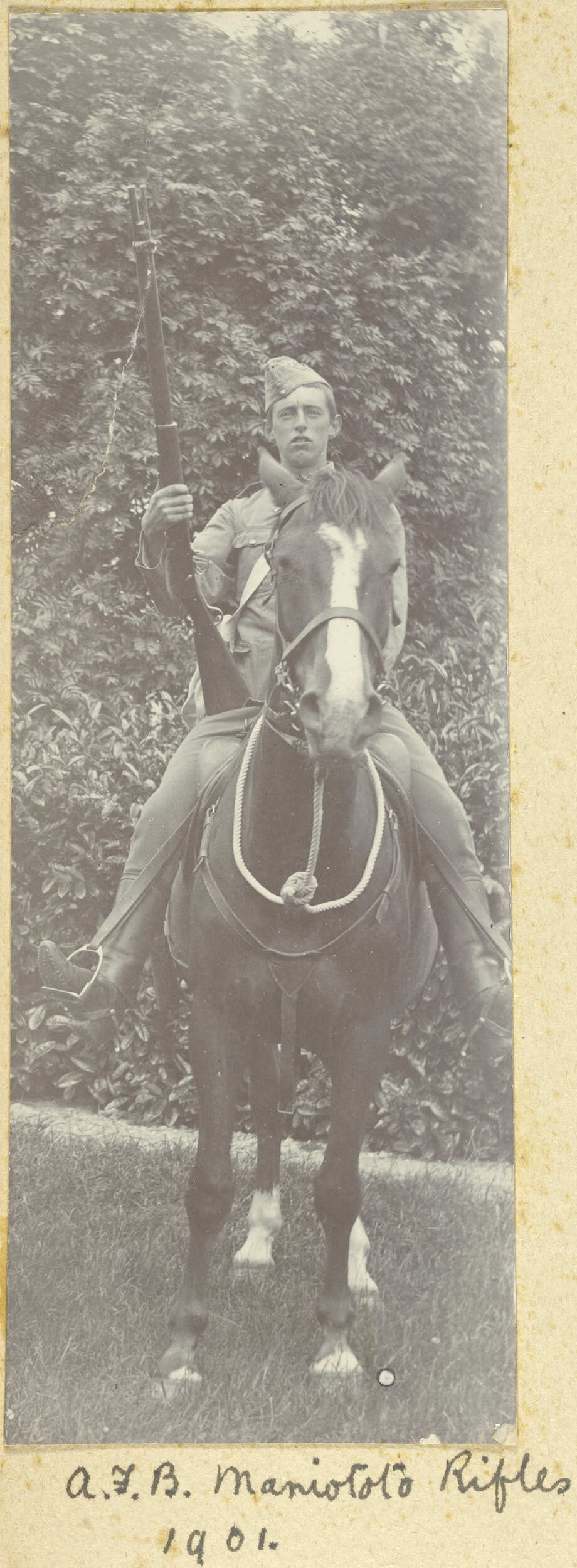 Alfred Francis Buckland, Maniototo Rifles