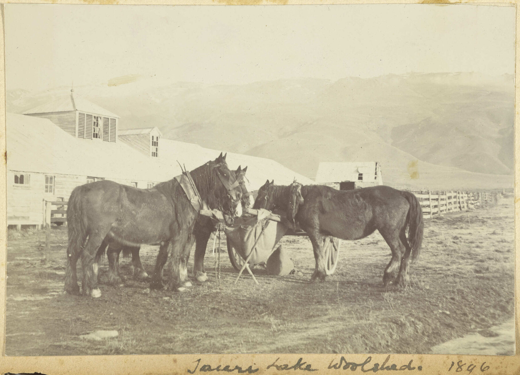 Taieri Lake woolshed