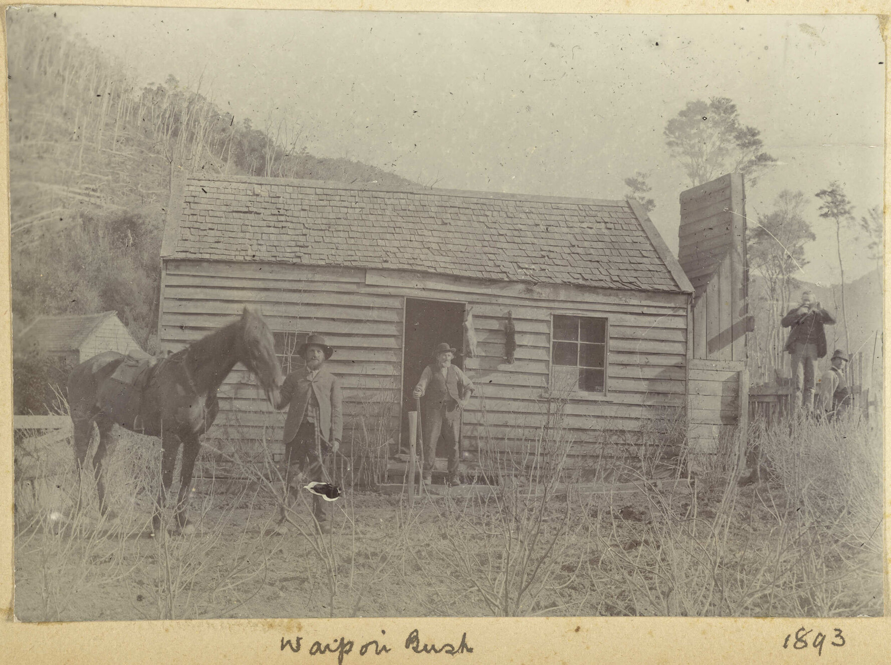 Cottage, Waipori Bush