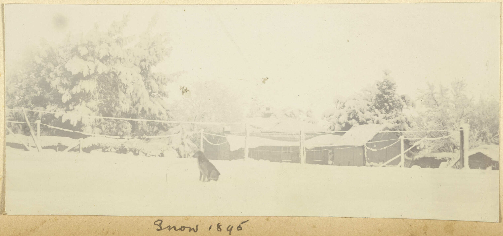 Snow