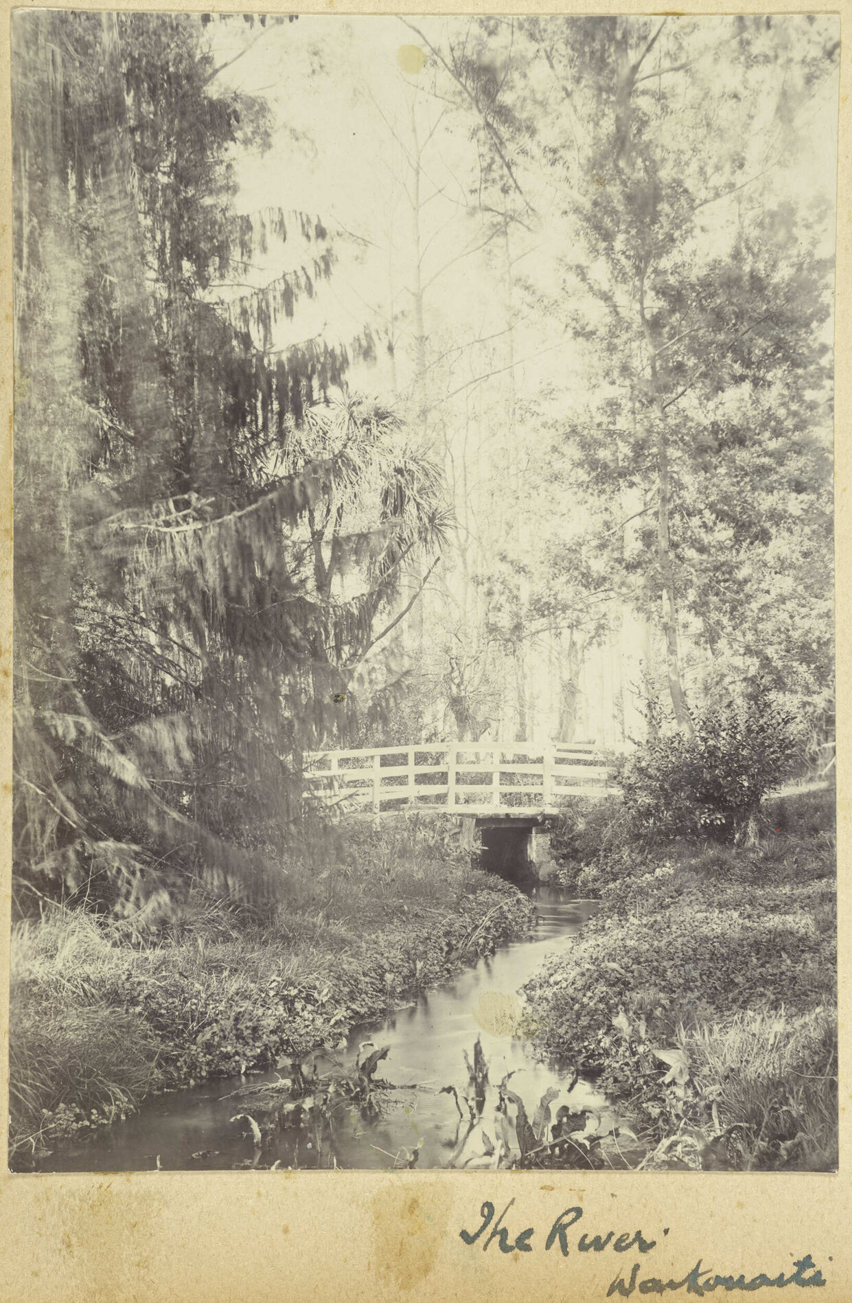 The River, Waikouaiti