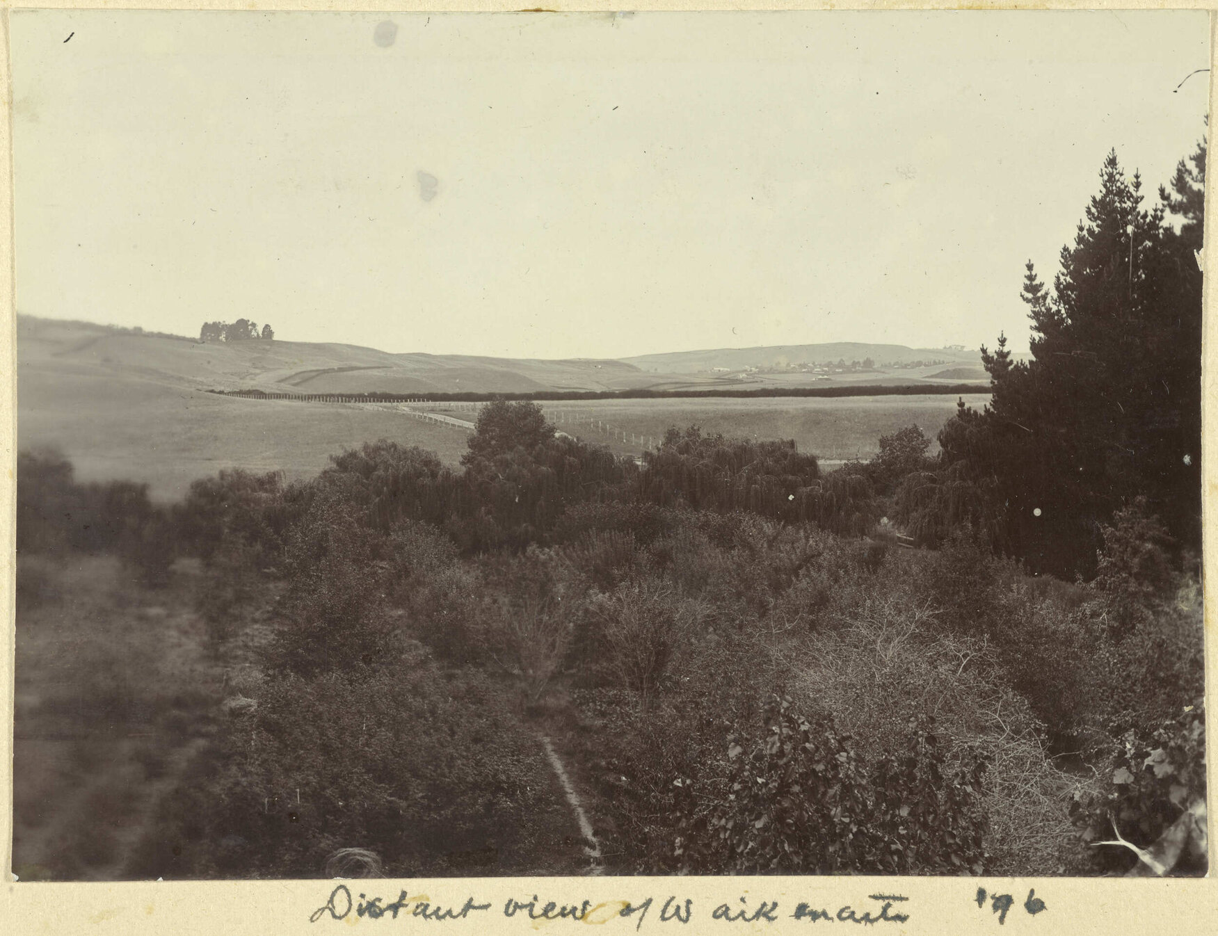 Distant view of Waikouaiti