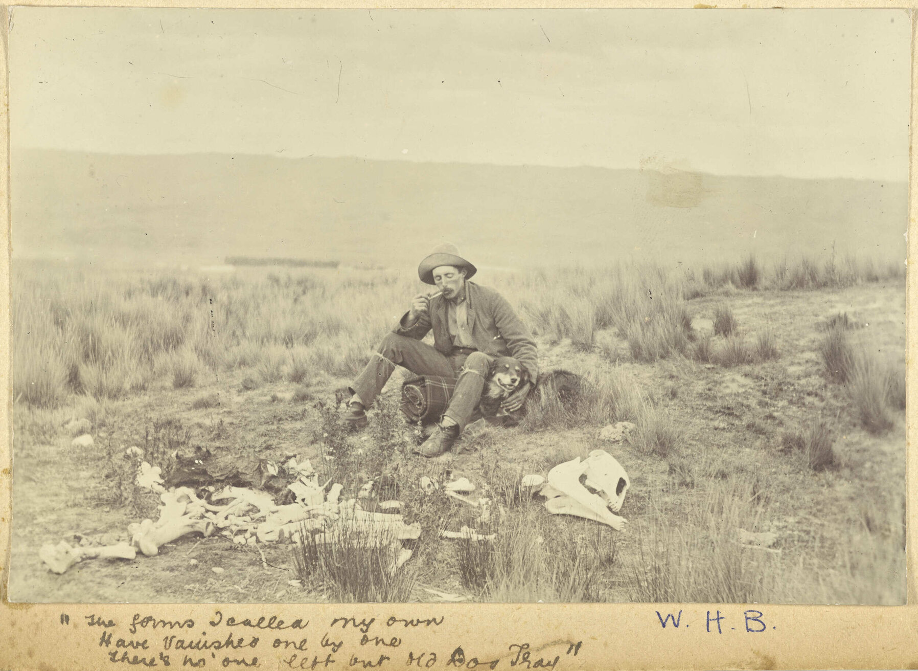 The forms I called my own ...