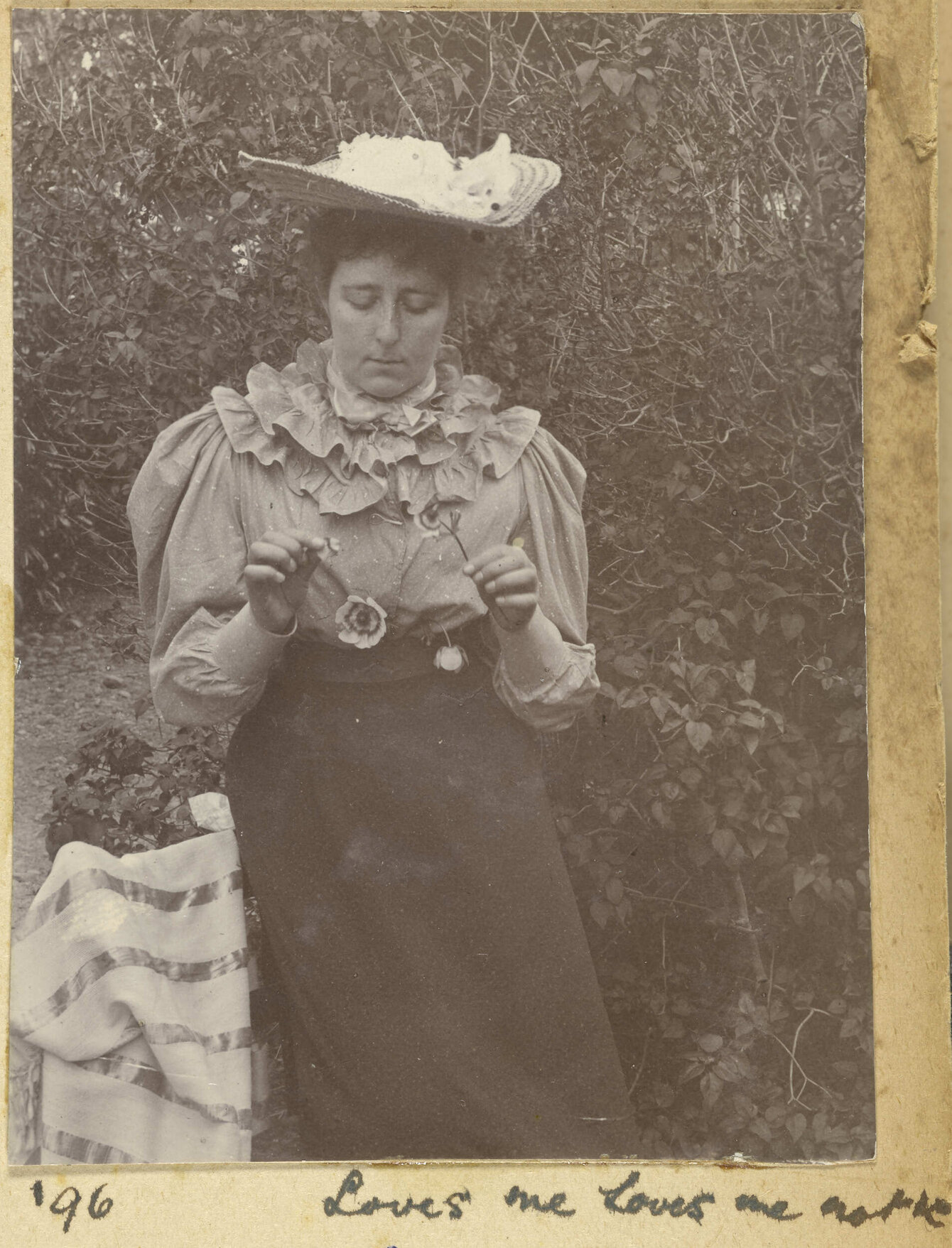 Loves me loves me not