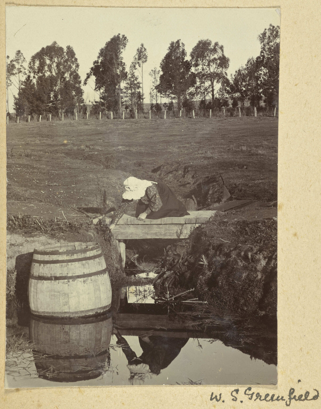 Winnie Smith, Greenfield