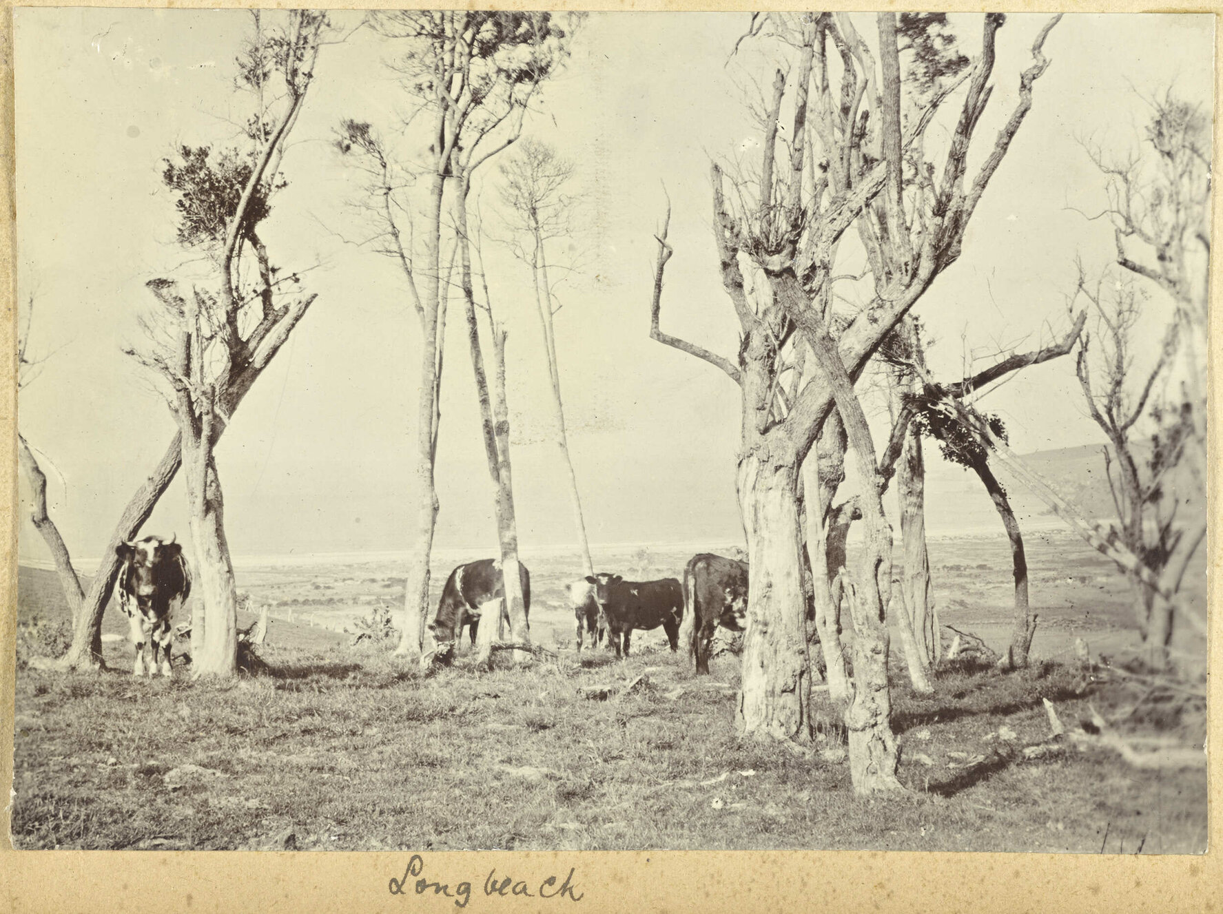 Long Beach
