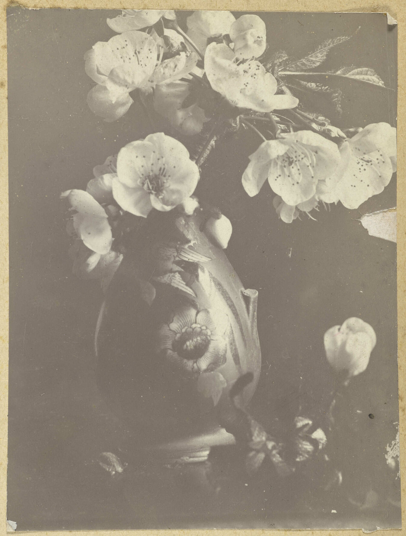 Blossoms in a decorative vase