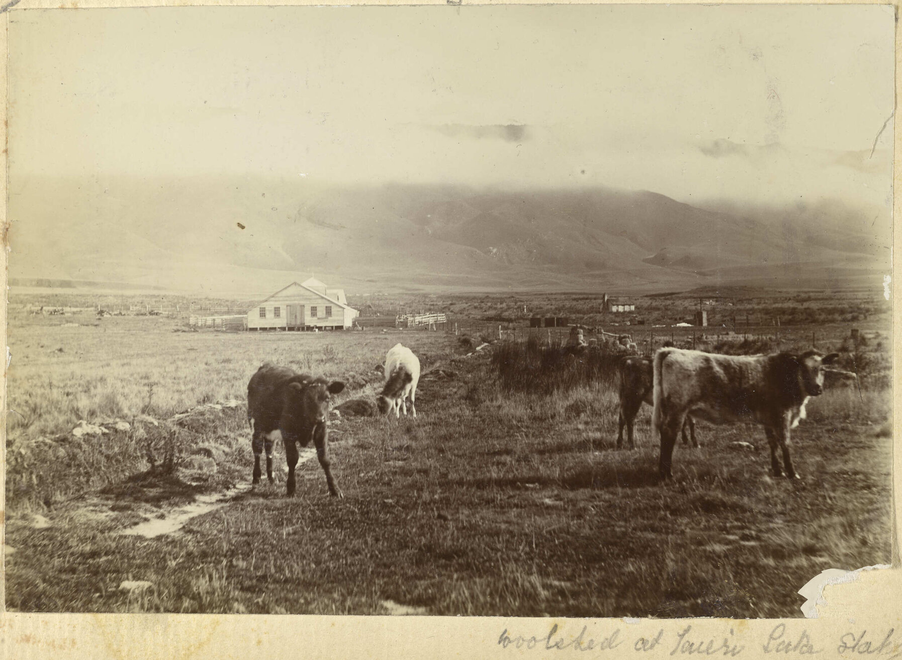 Woolshed at Taieri Lake Station