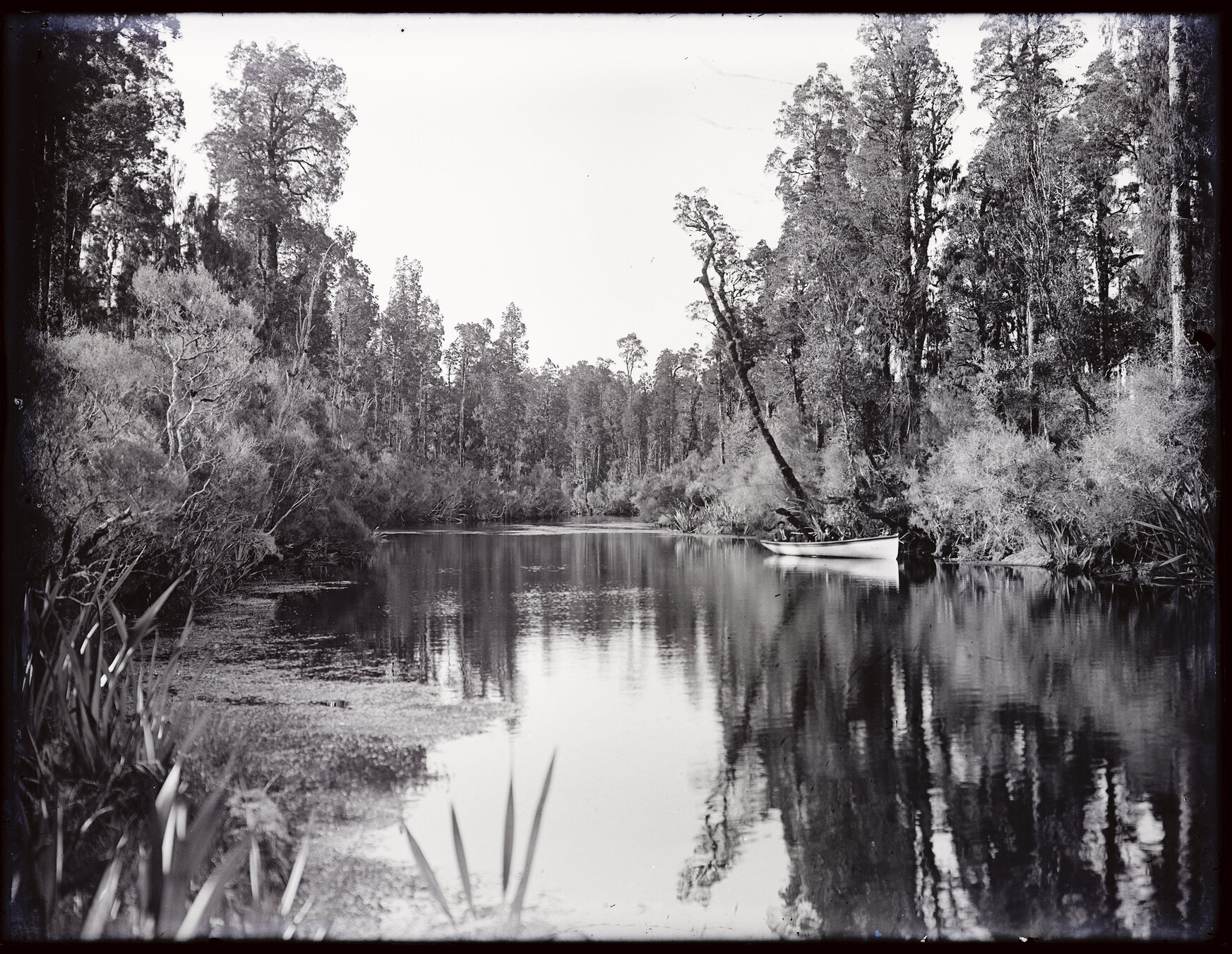 River scene