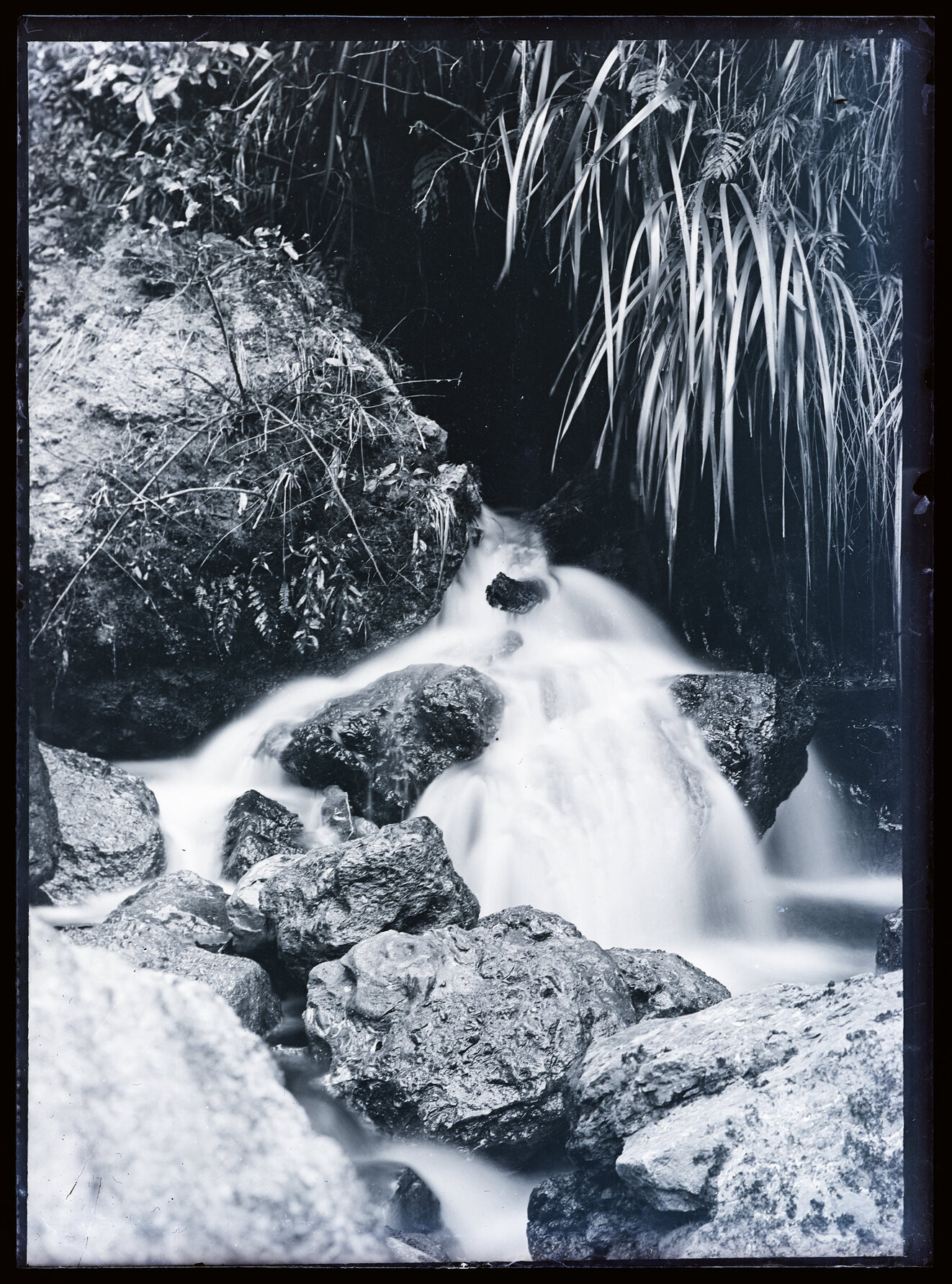 Water flowing over rocks in a creek, Westland
