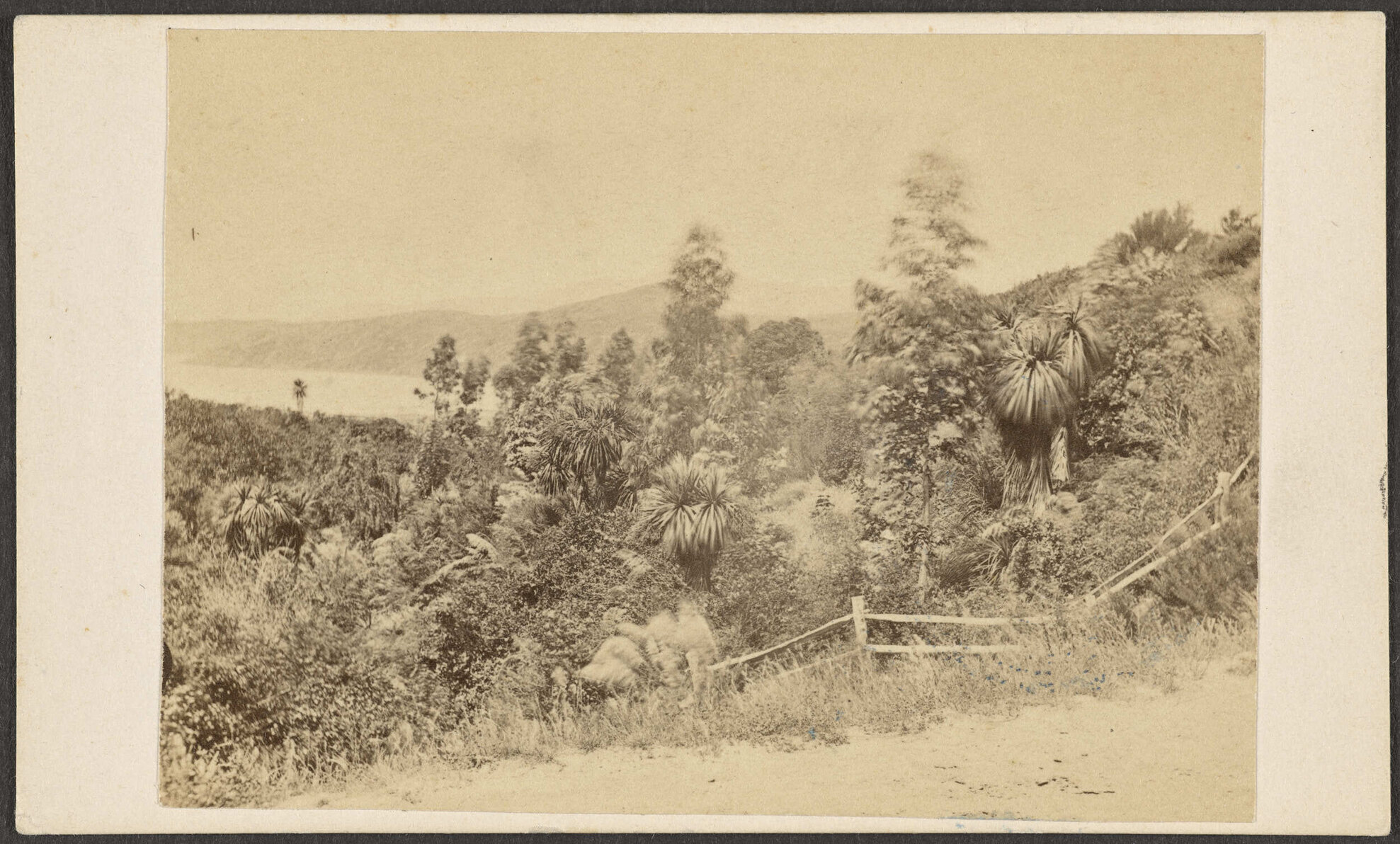 Governors Bay, Lyttelton Harbour