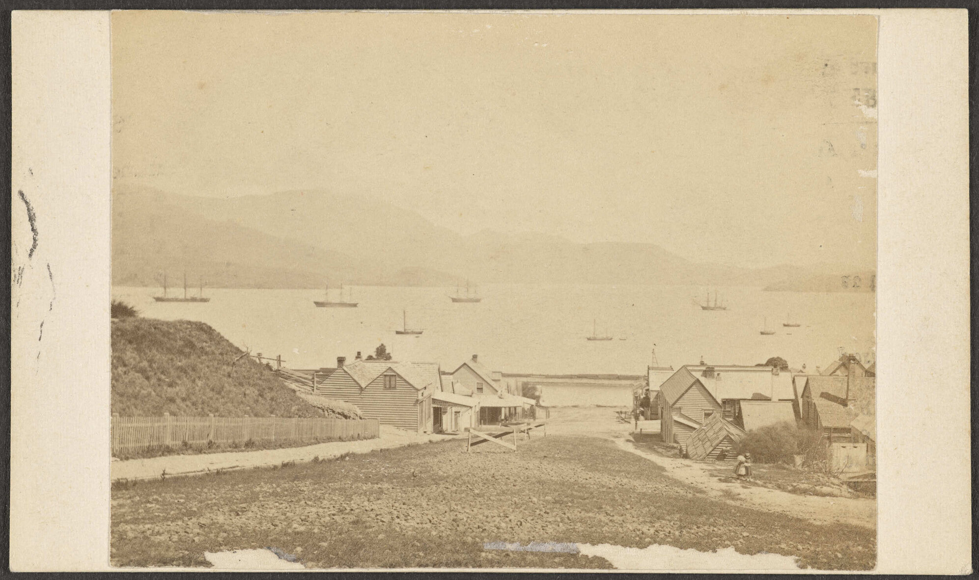 Lyttelton Harbour