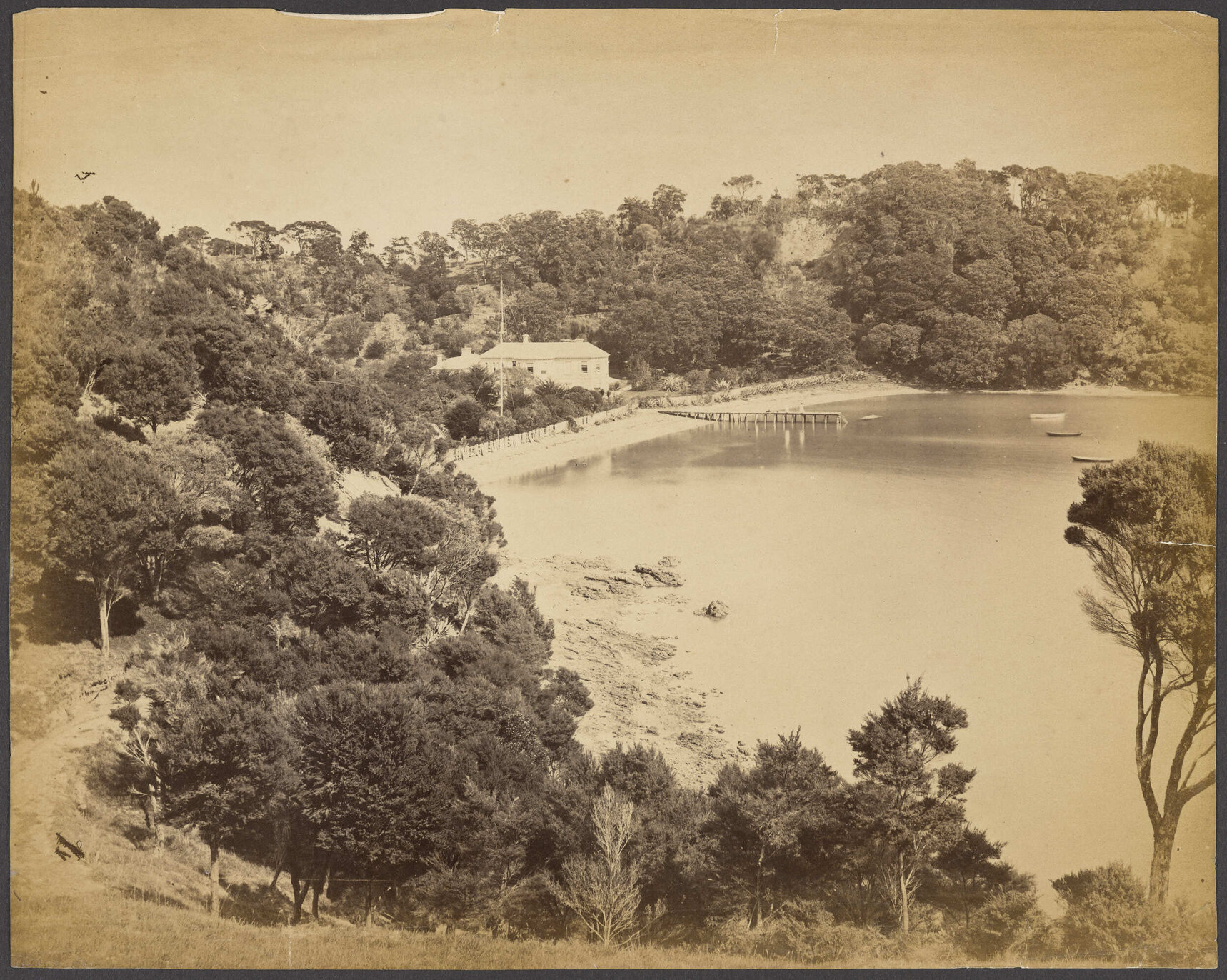 Momona Bay, Kawau Island