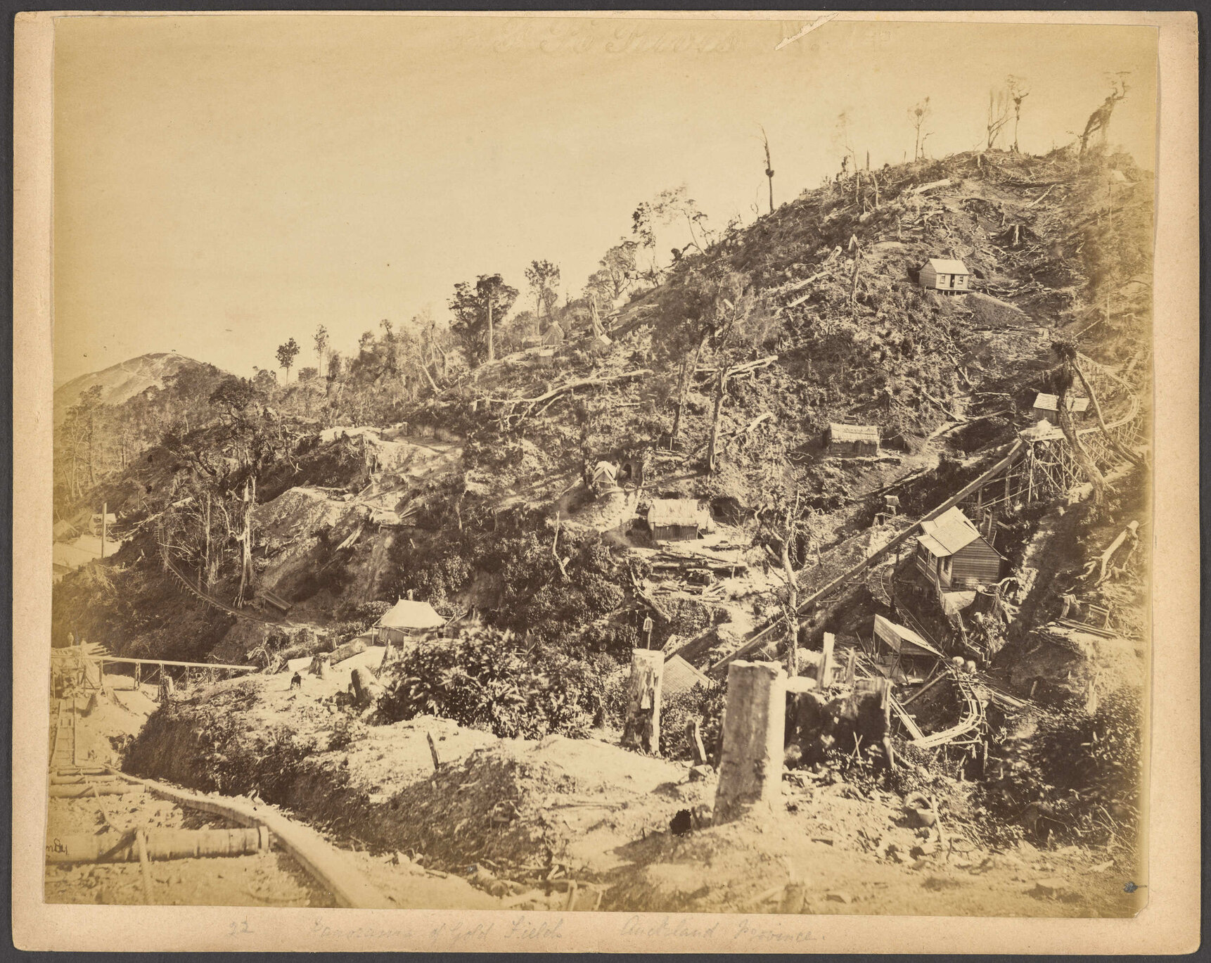 Panorama of Gold Field, Auckland Province