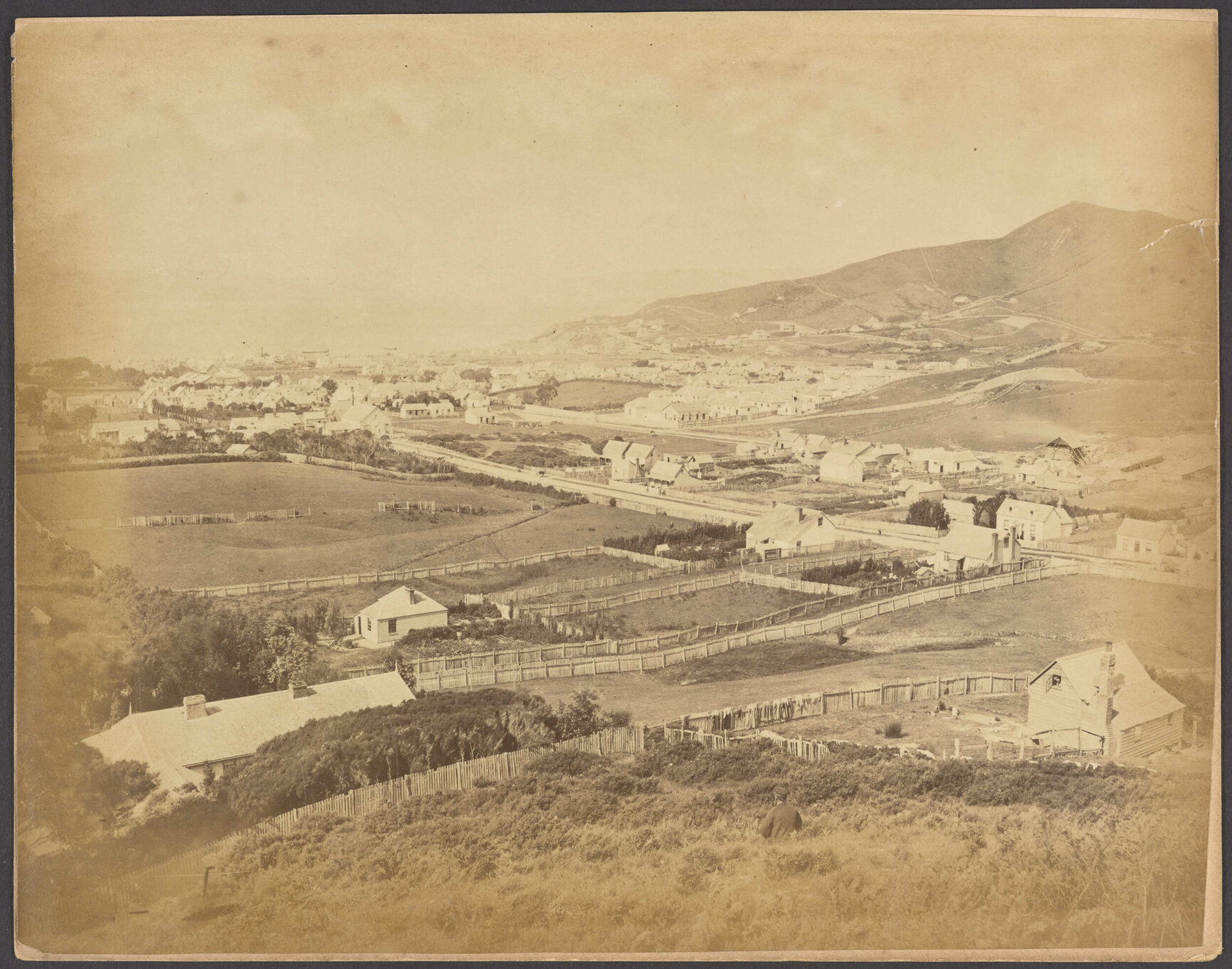 Panorama from Te Aro Hills in 2 pts