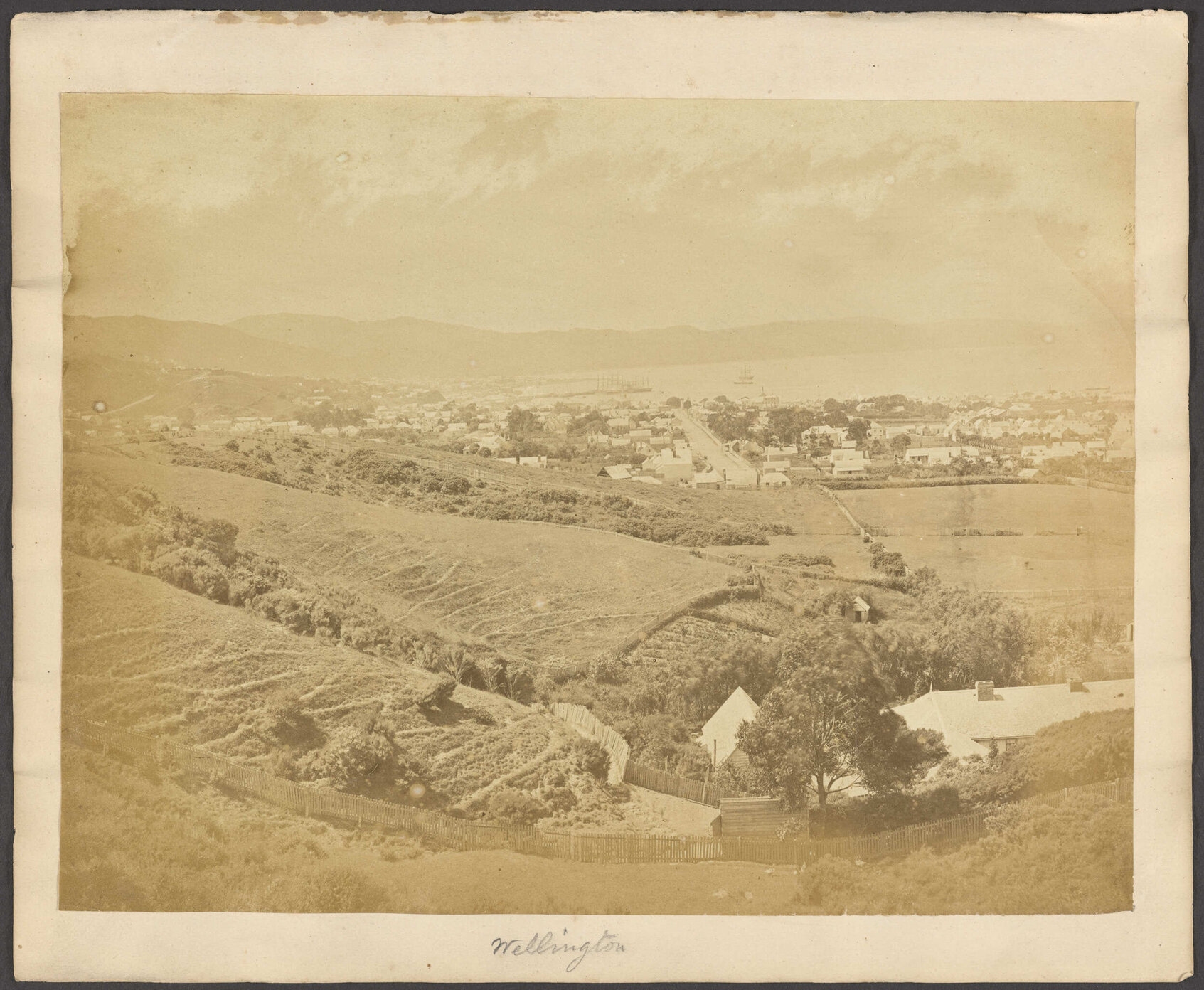 Wellington