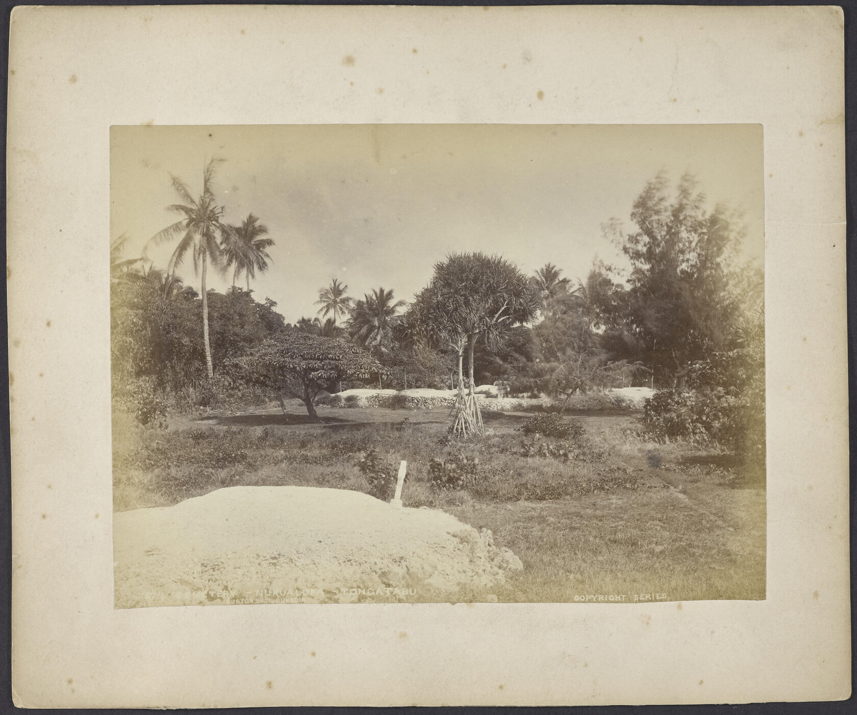 Cemetery, Nukualofa, Tongatabu [Tongatapu]