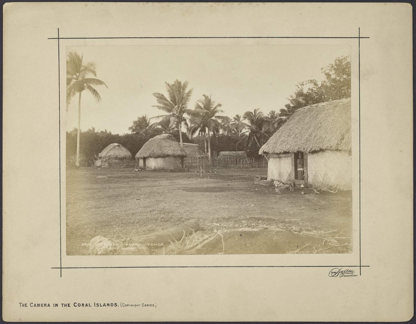 Neiafu, Vavau, Tonga