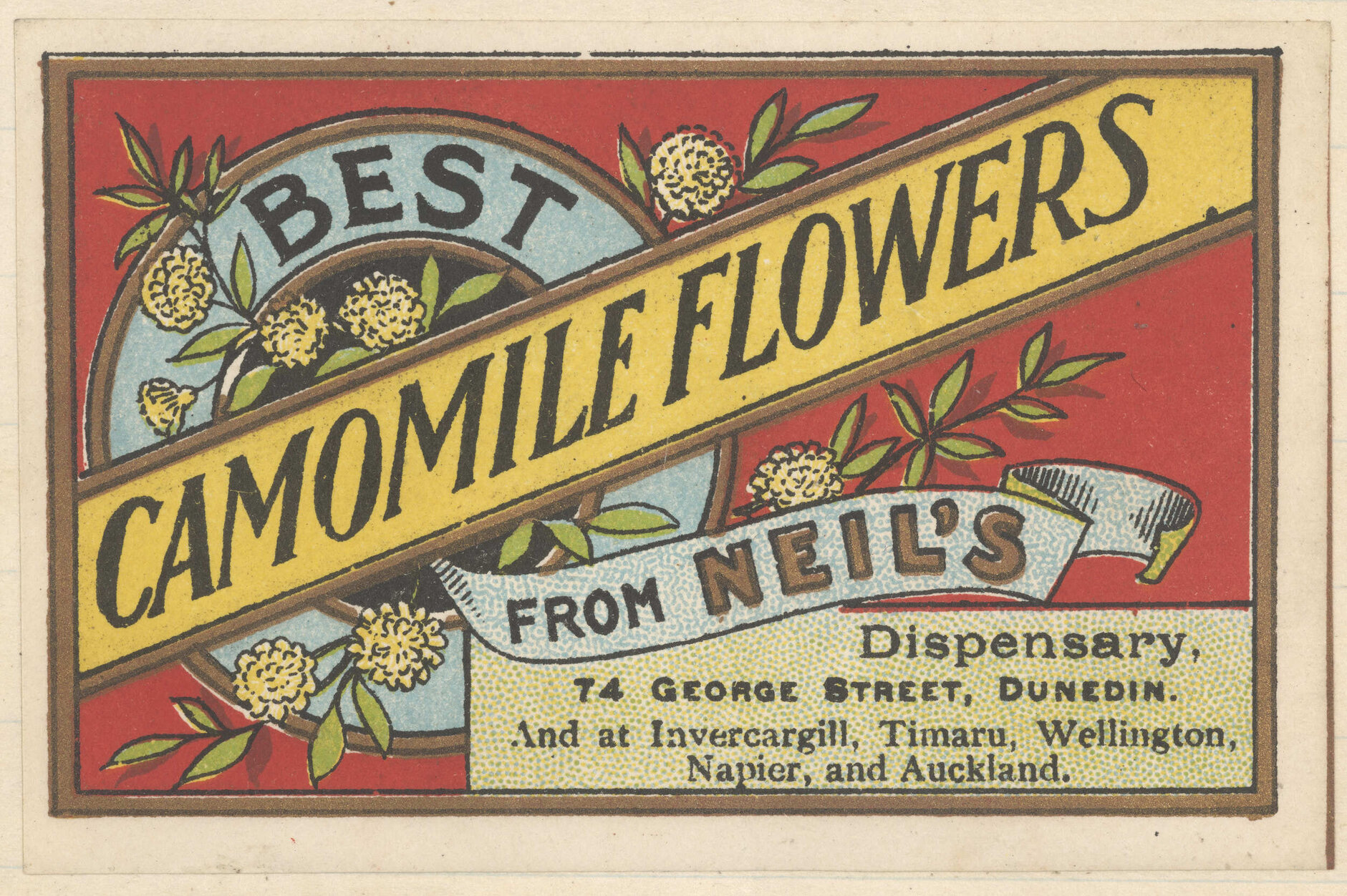 "Best Camomile Flowers"