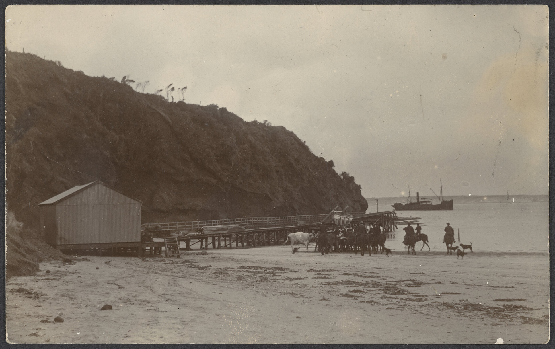 Harbour, Chatham Islands