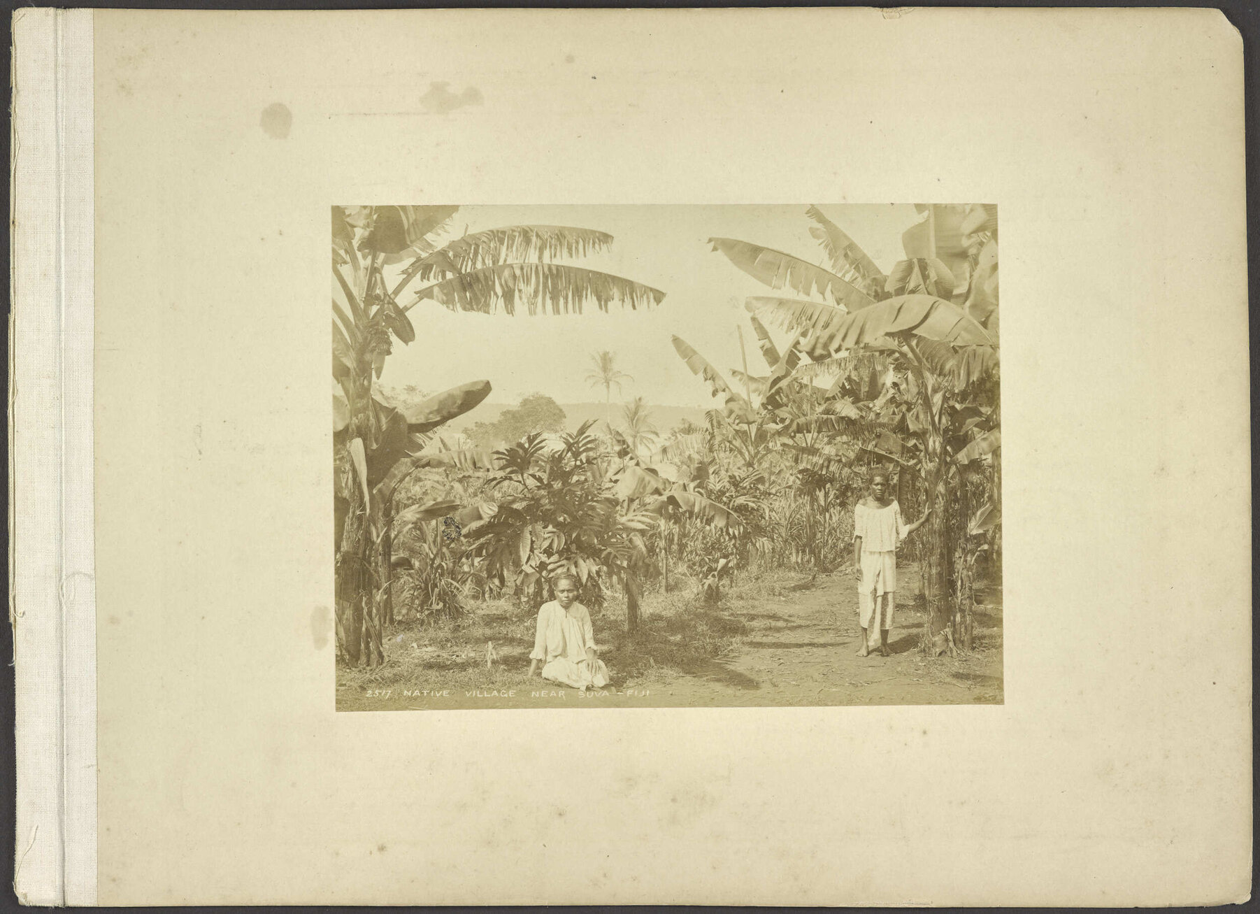 Native Village near Suva, Fiji