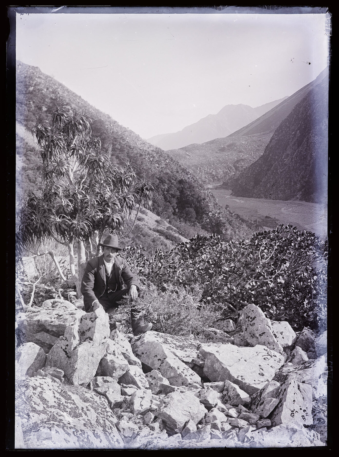 Person sitting under dracophyllum, Westland