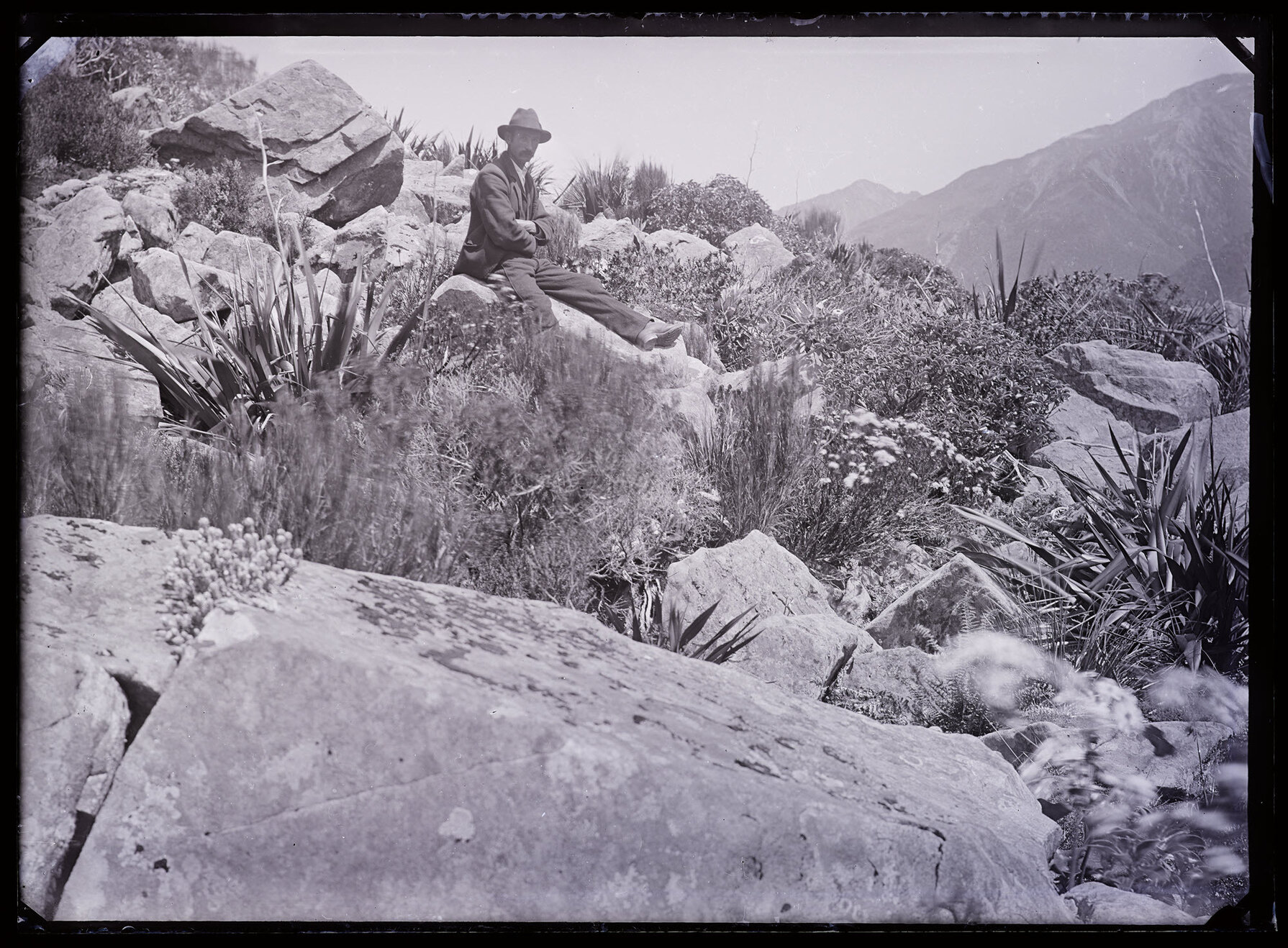Person sitting on boulders with alpine plants, Westland