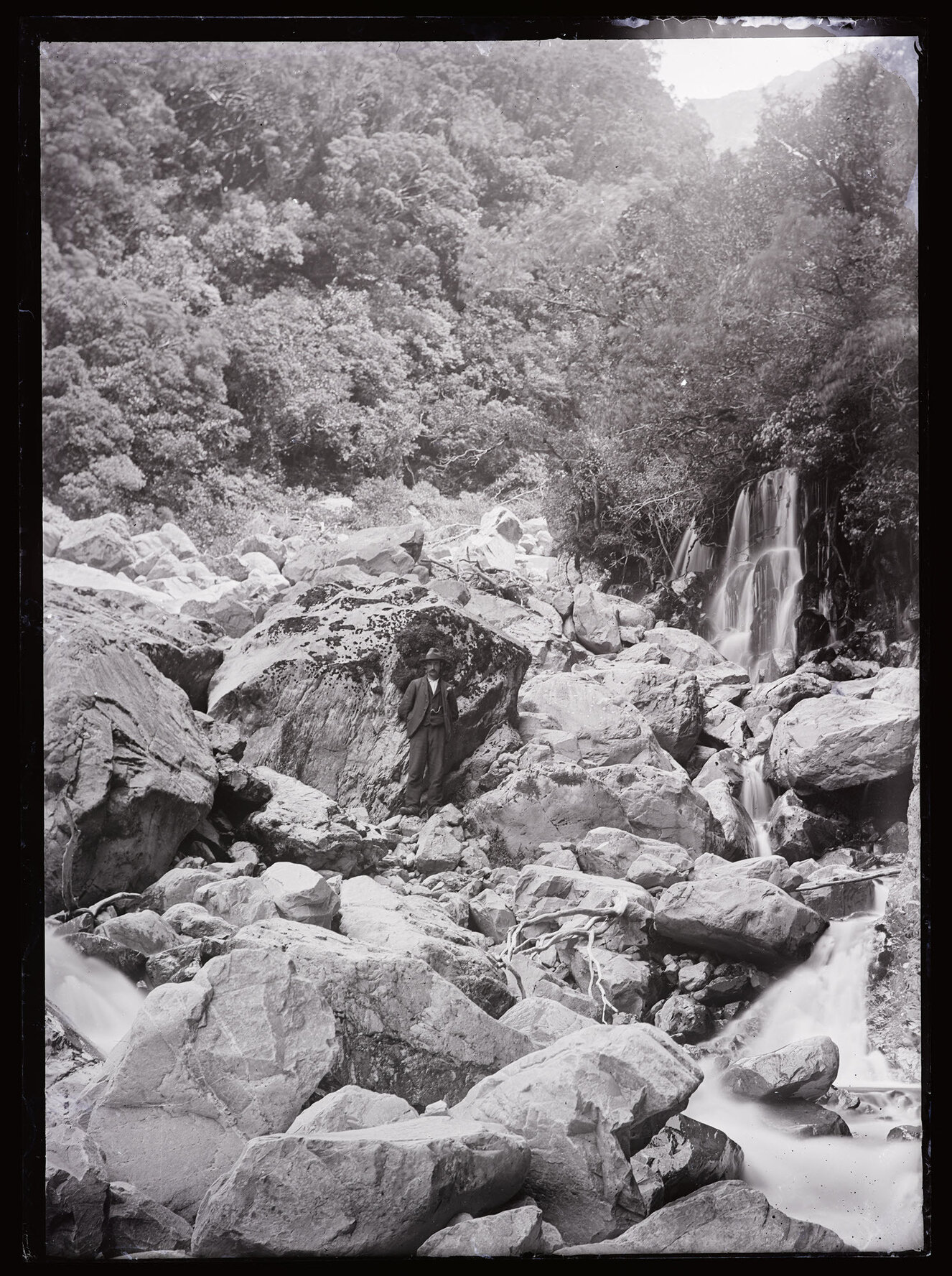 Teichelmann (?) next to a river, Westland 