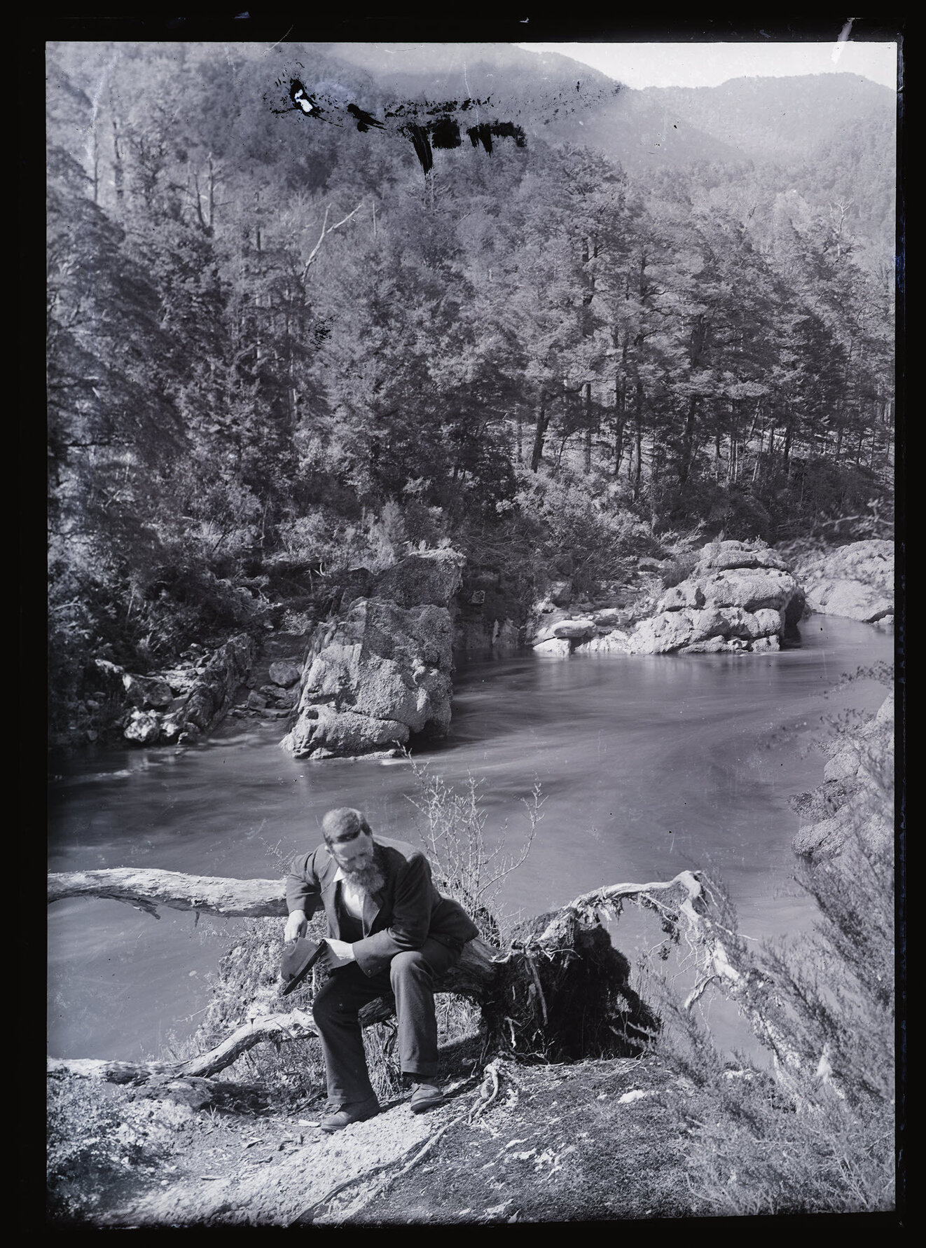 Teichelmann (?) next to a river, Westland 