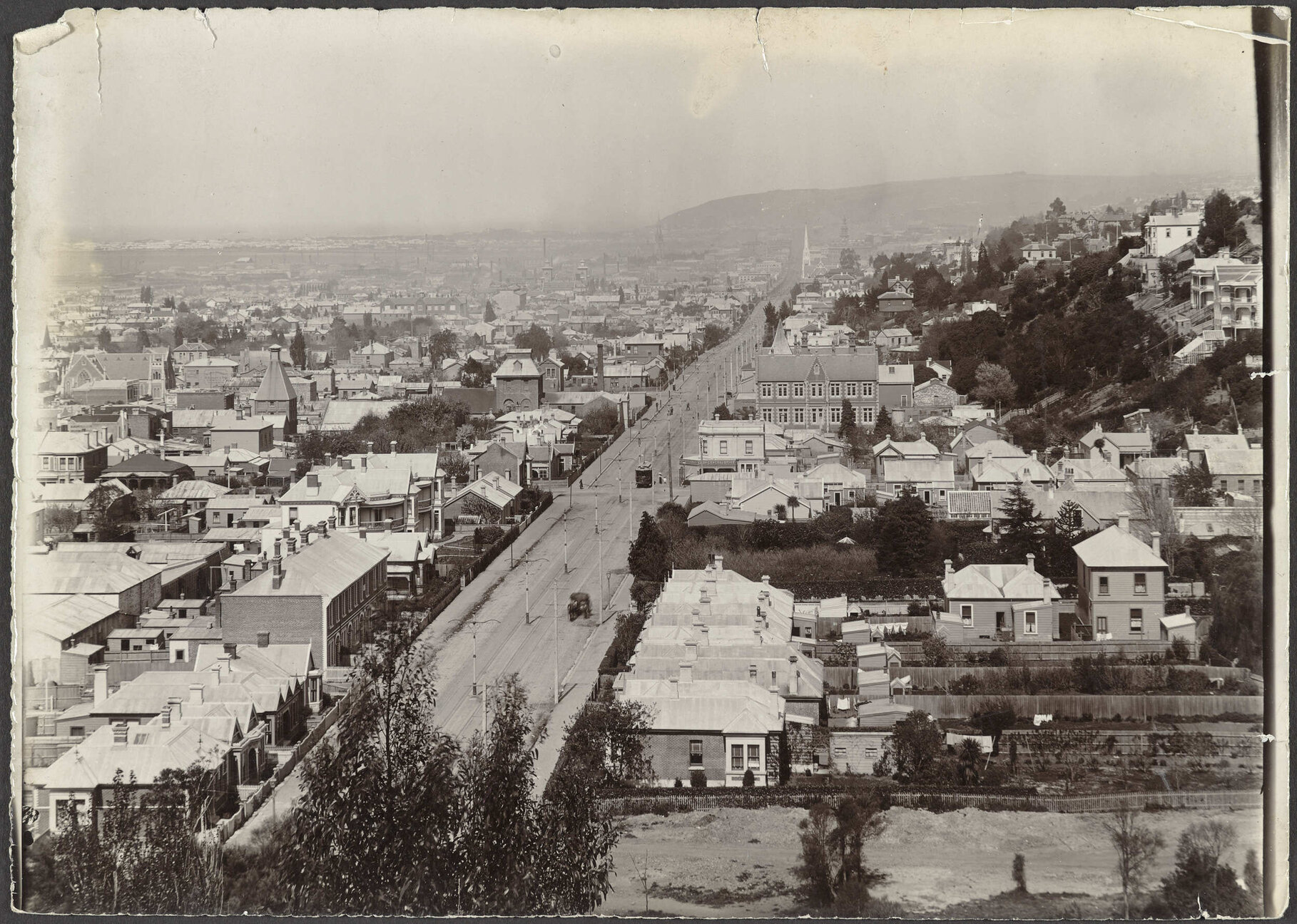George Street, North Dunedin