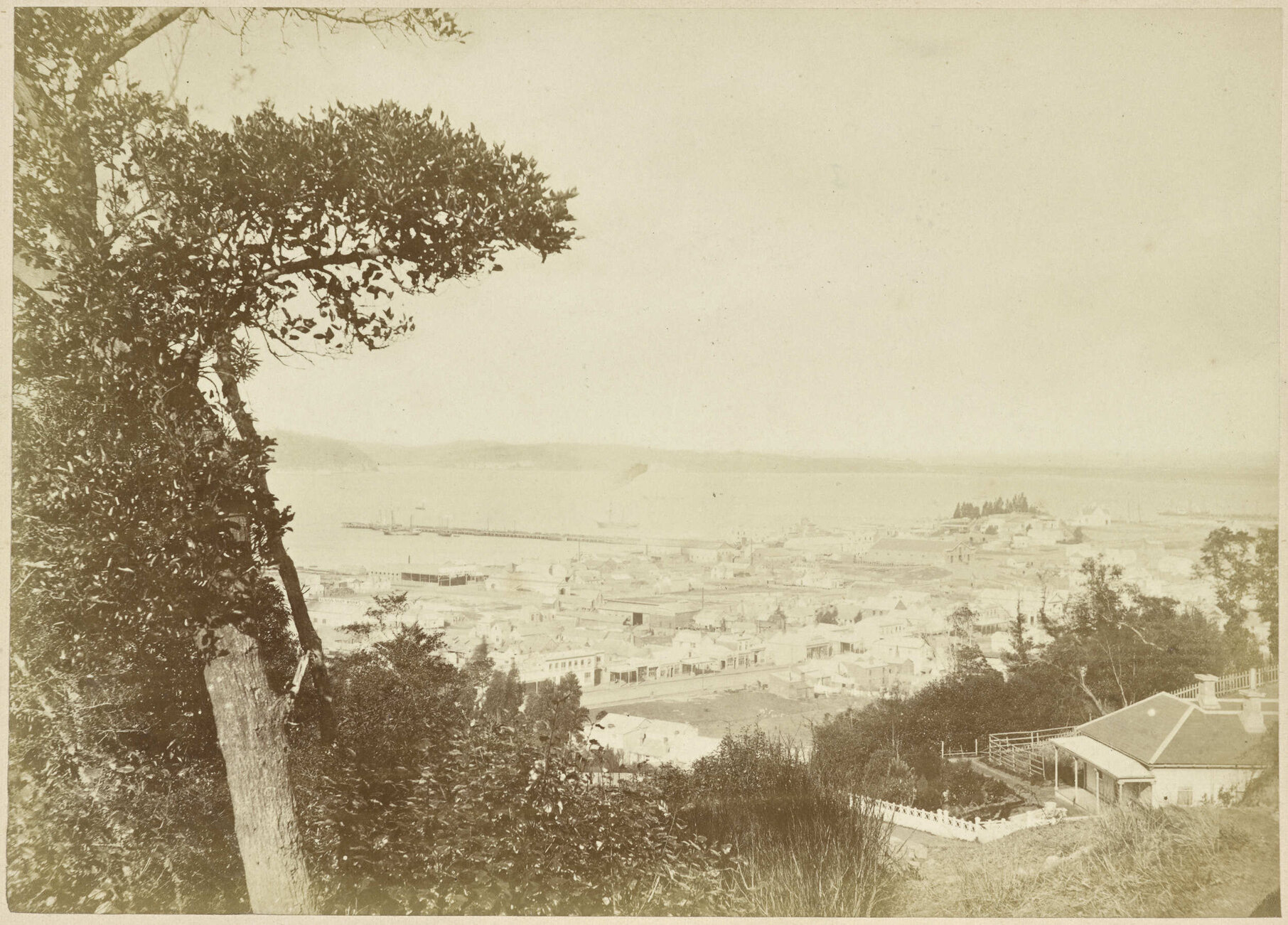 George Street, Dunedin