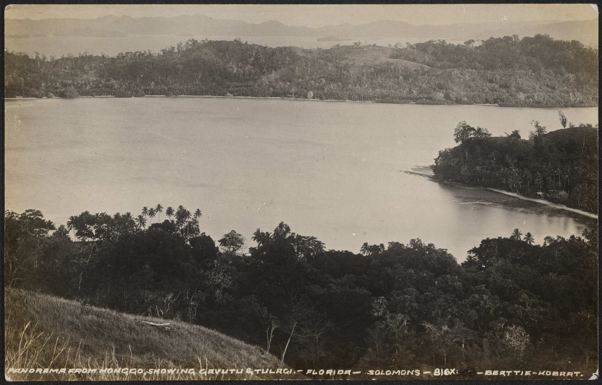Panorama from Honggo, showing Gavutu and Tulagi, Florida, Solomons