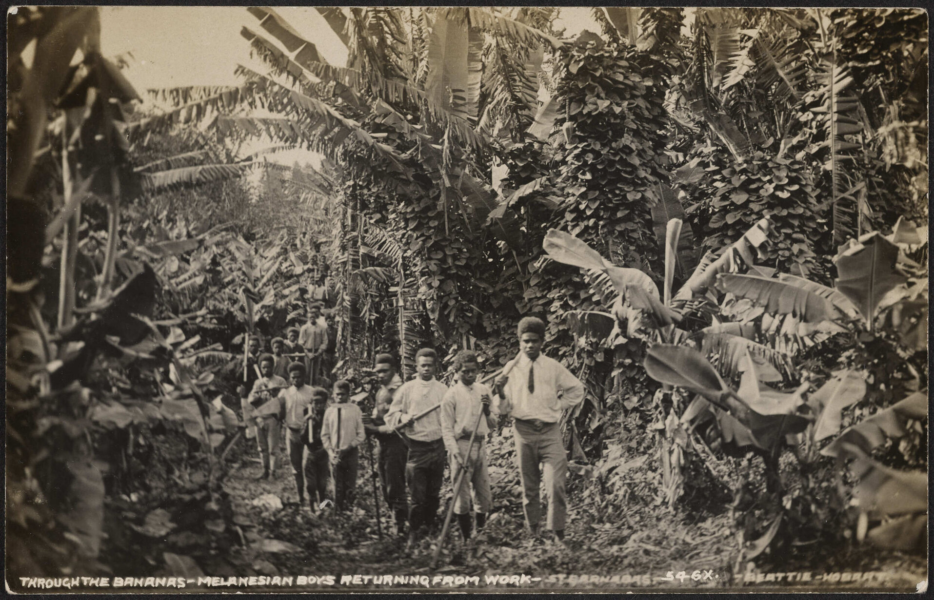 Through the bananas, Melanesian boys returning from work, St Barnabas, Solomons
