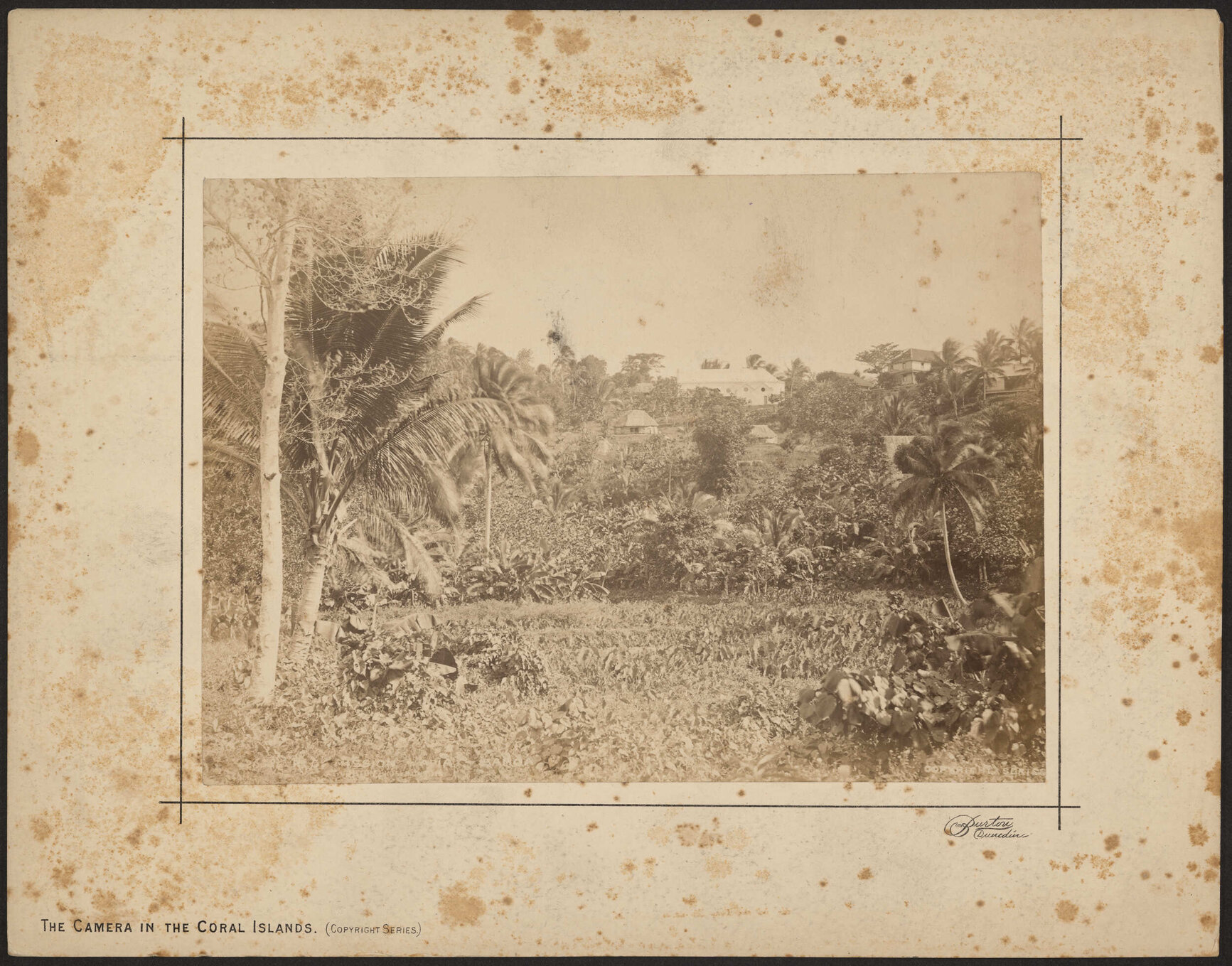 Roman Catholic Mission, Apia