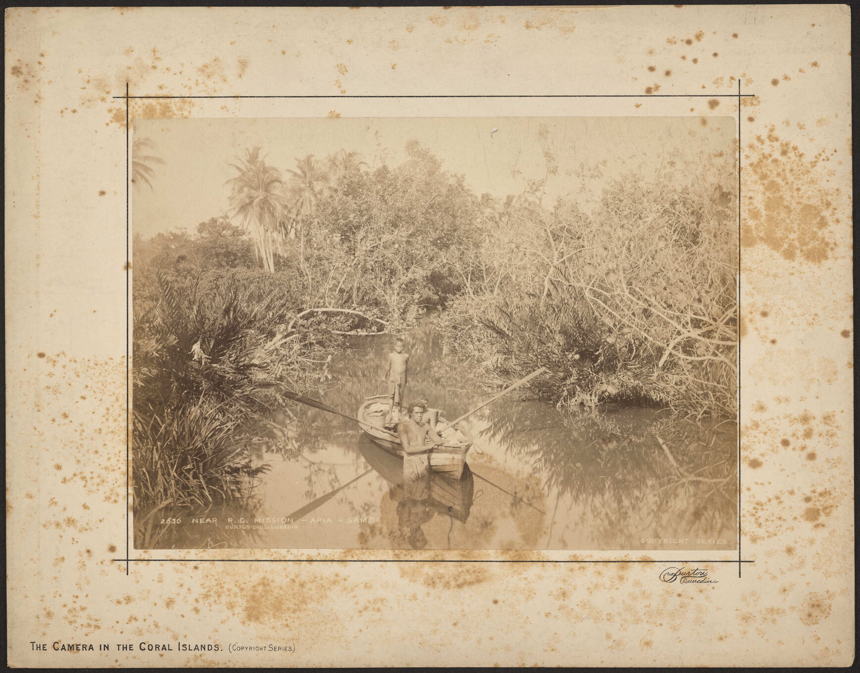 Near Roman Catholic Mission, Apia