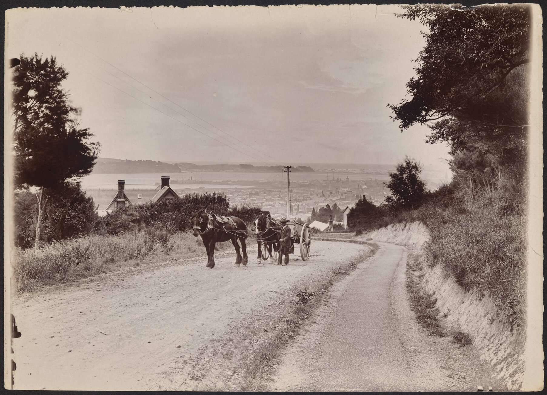 Lachlan Ave, Dunedin, N.Z.