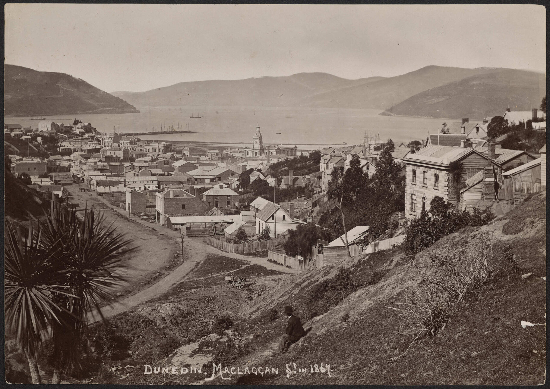 Dunedin. Maclaggan St in 1867