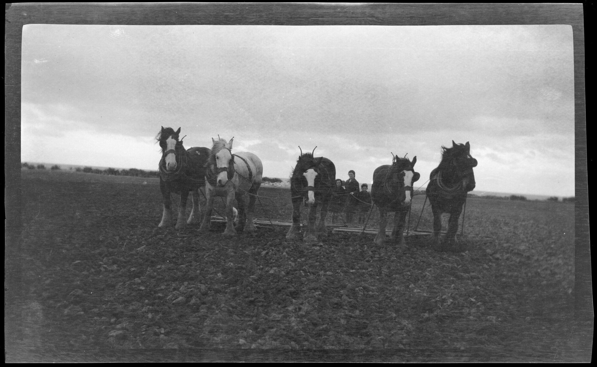 Team in Harrows