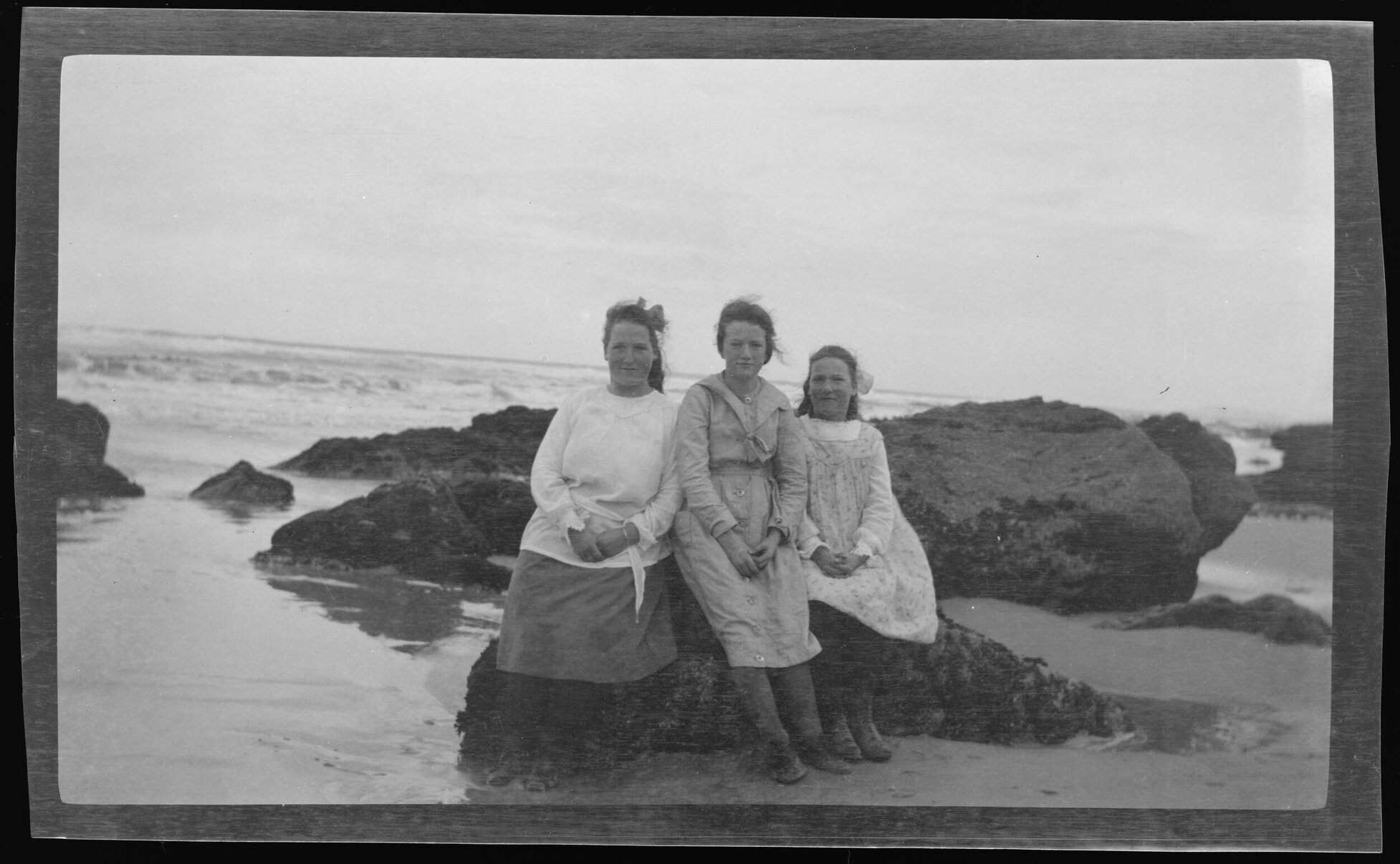 Flappers on a rock