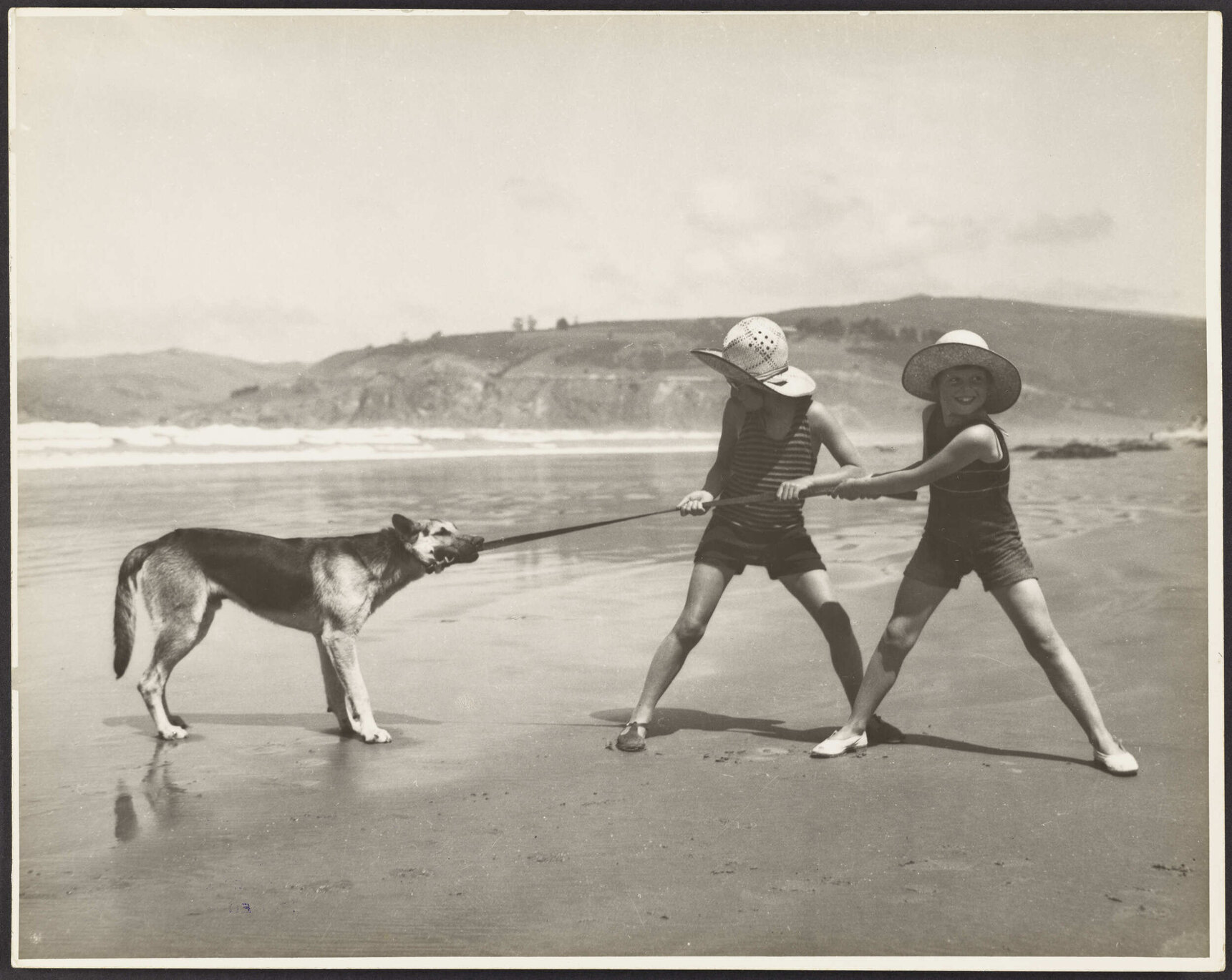 At Play, Warrington Beach, Otago