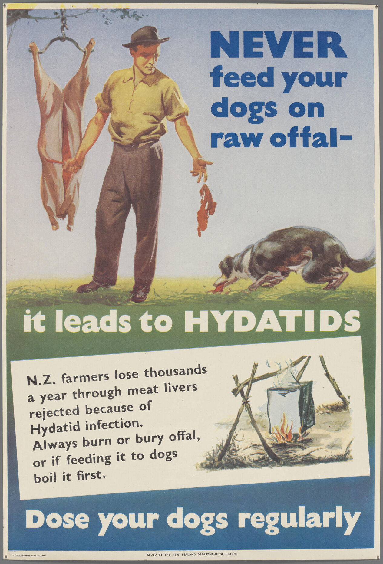 "Never feed your dogs on raw offal - it leads to Hydatids"