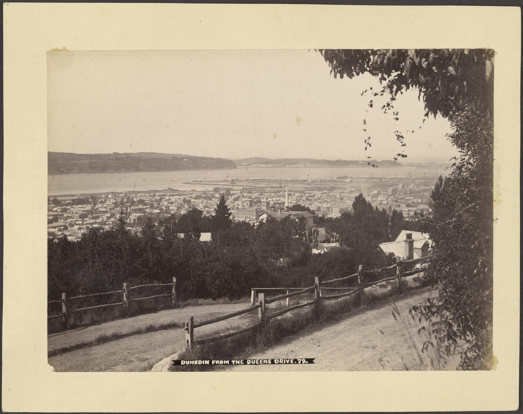 Dunedin from the Queens Drive
