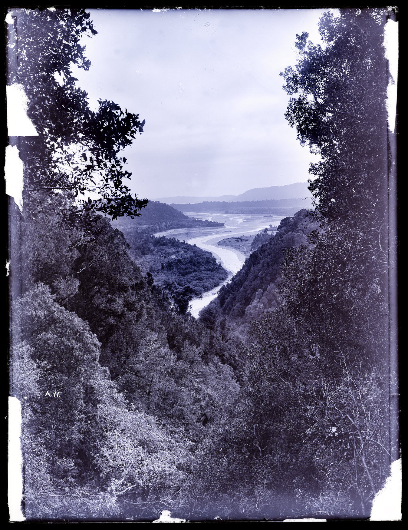 View from high in a bushy gully looking towards the sea
