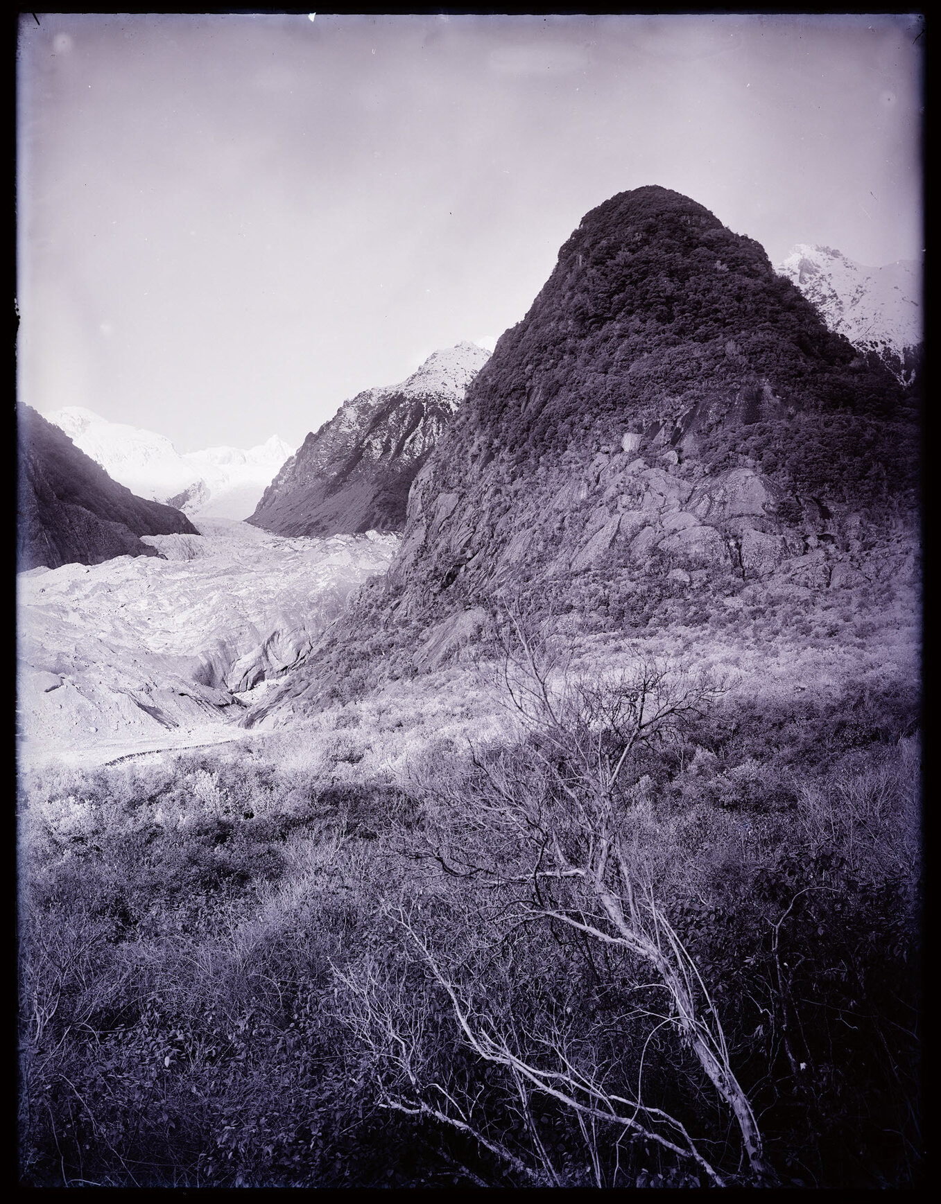 Cone Rock, lower Fox Glacier / Te Moeka o Tuawe