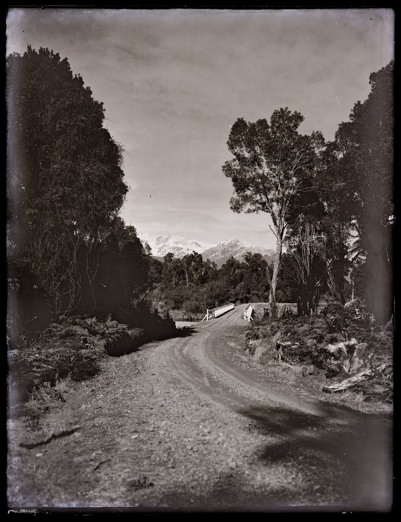 Road bridge with bush, eastern South Island 