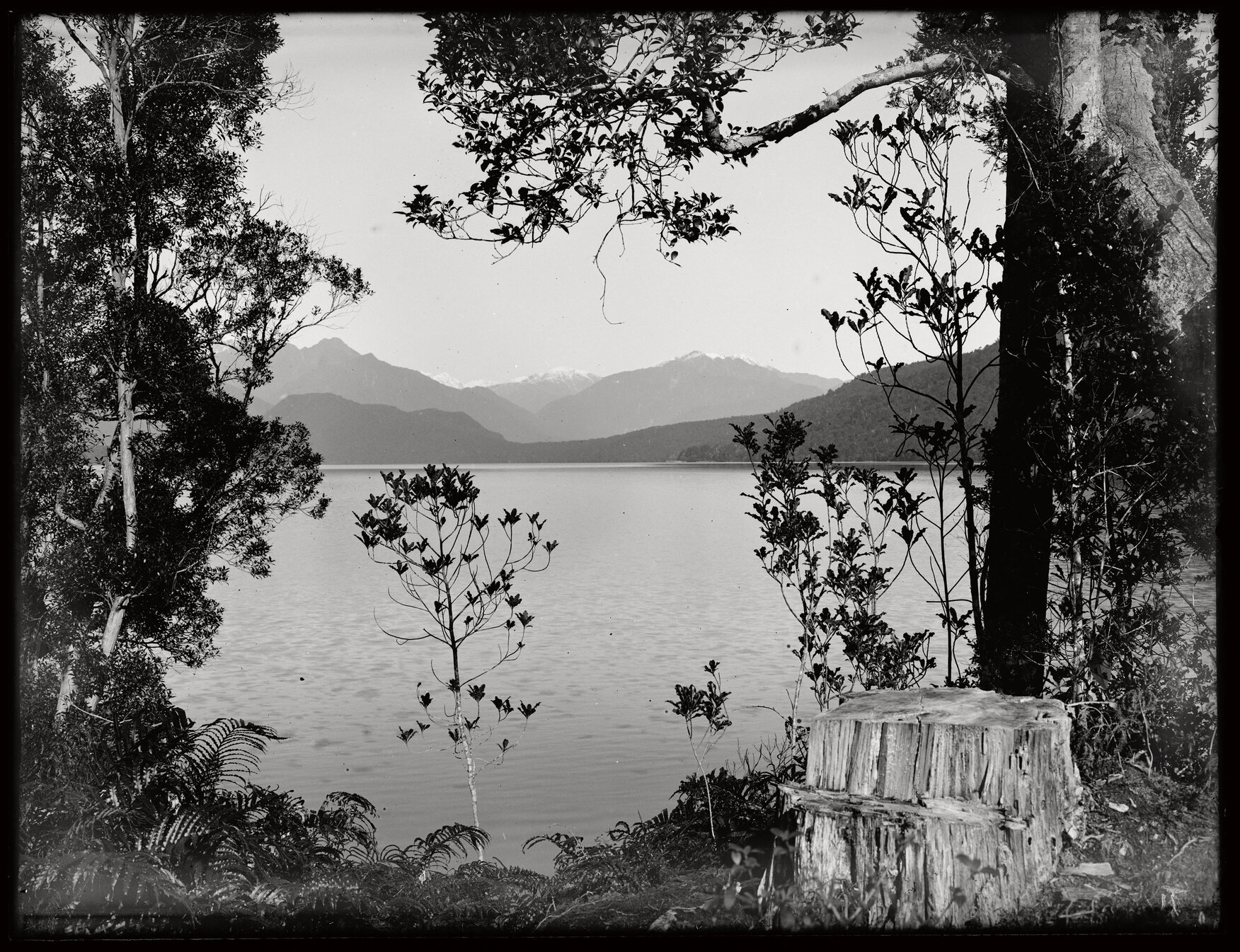 Unidentified body of water with stump in foreground