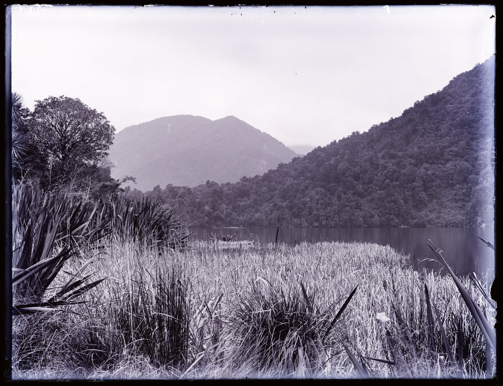 Boat on an unidentified body of water, seen across the edge of a wetland, Westland