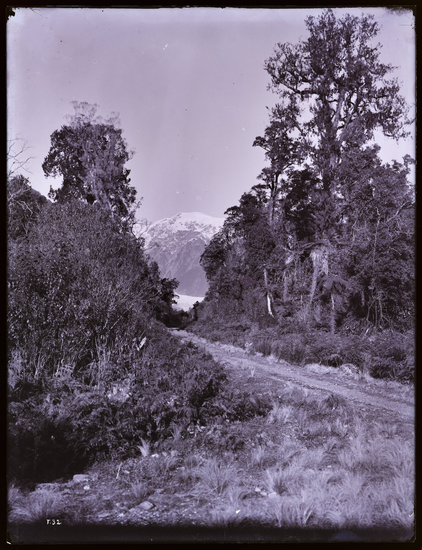 Road through bush, glacier visible behind, Westland